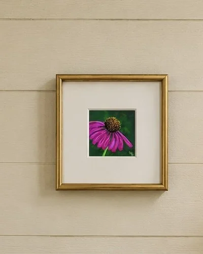 Purple Cone Flower.jpg