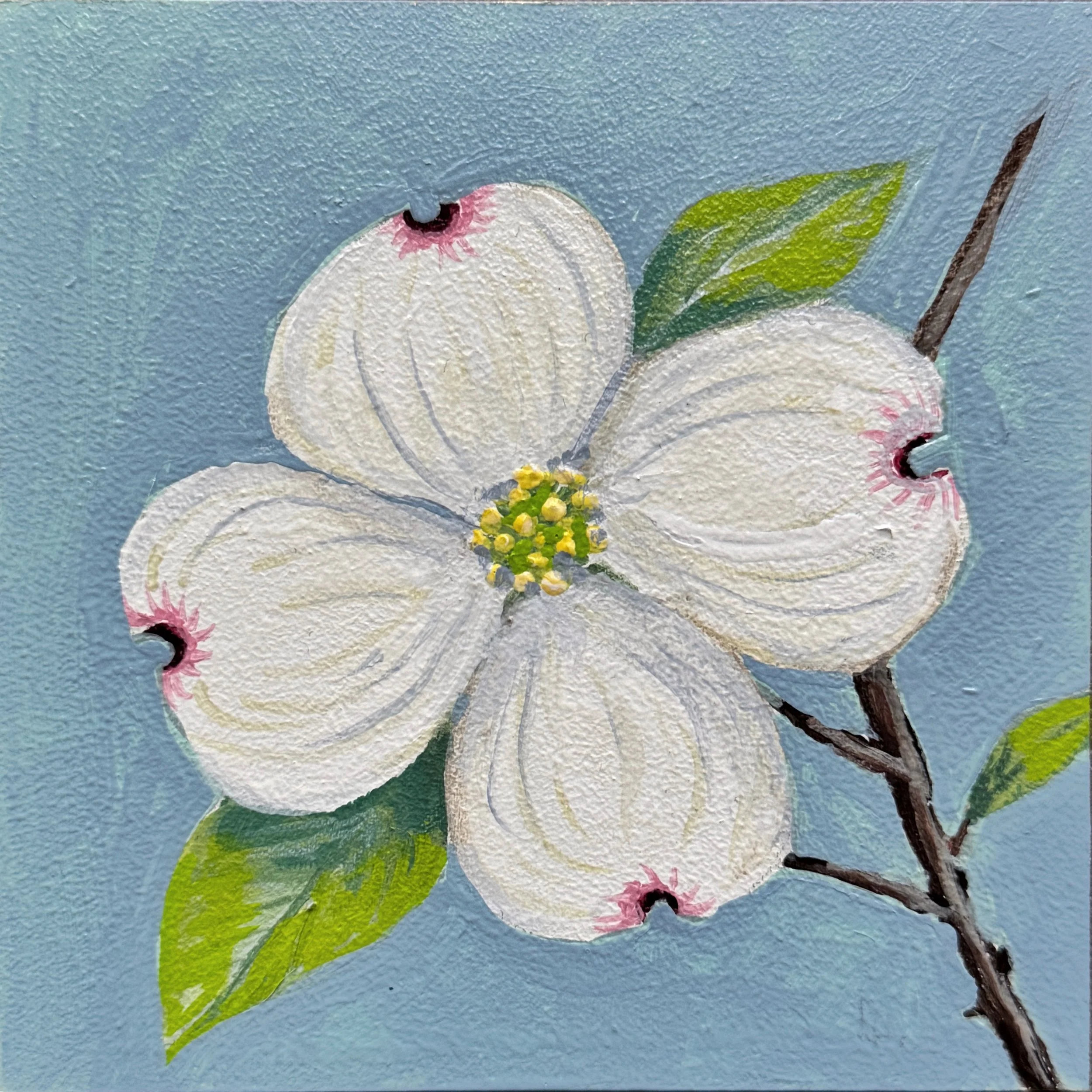 Tiny Joy 37 Dogwood