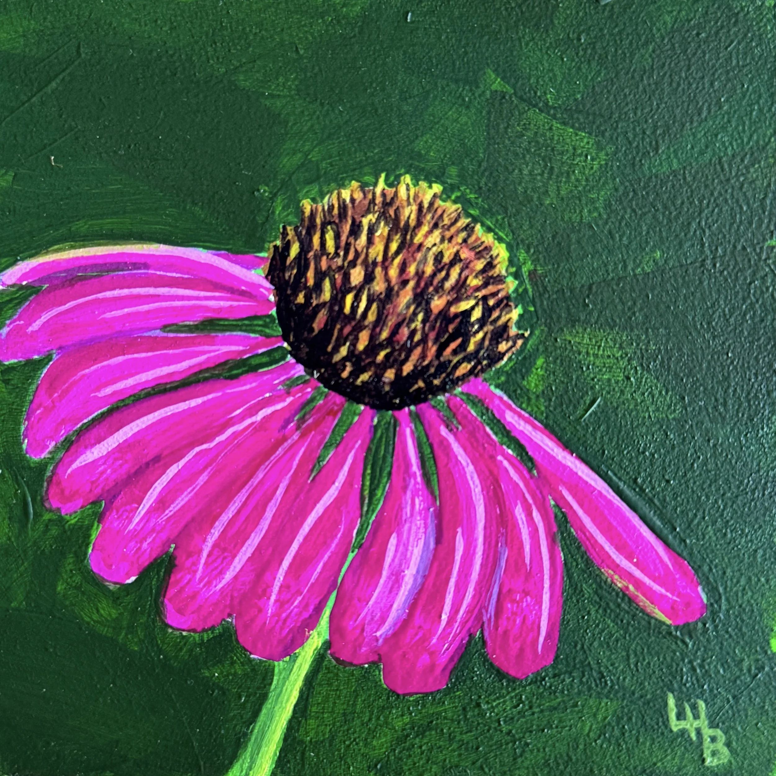 Tiny Joy 9 Purple Coneflower