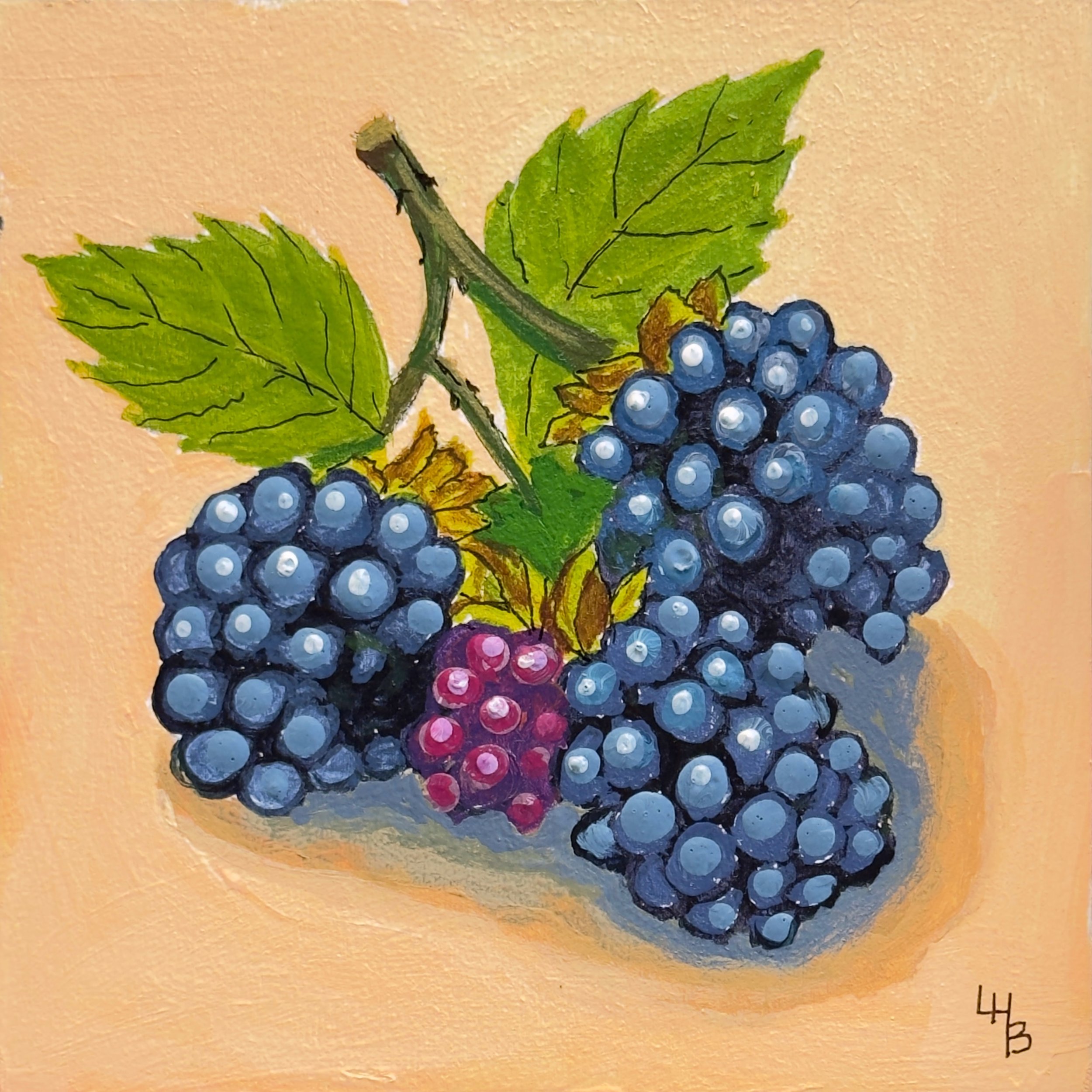 Tiny Joy 67 Blackberry Summer