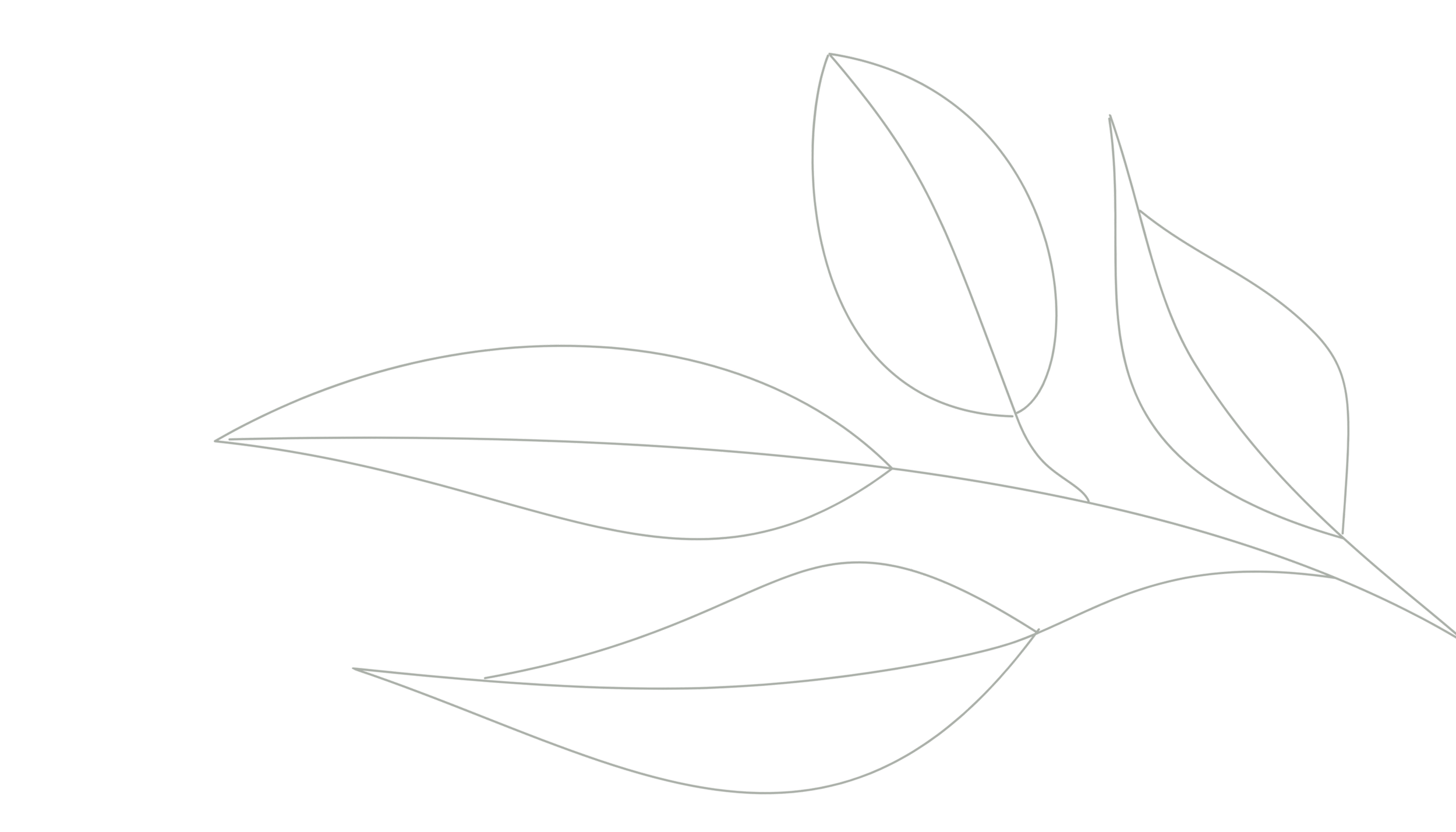 Line art of a minimalist tree with leaves on a black background.