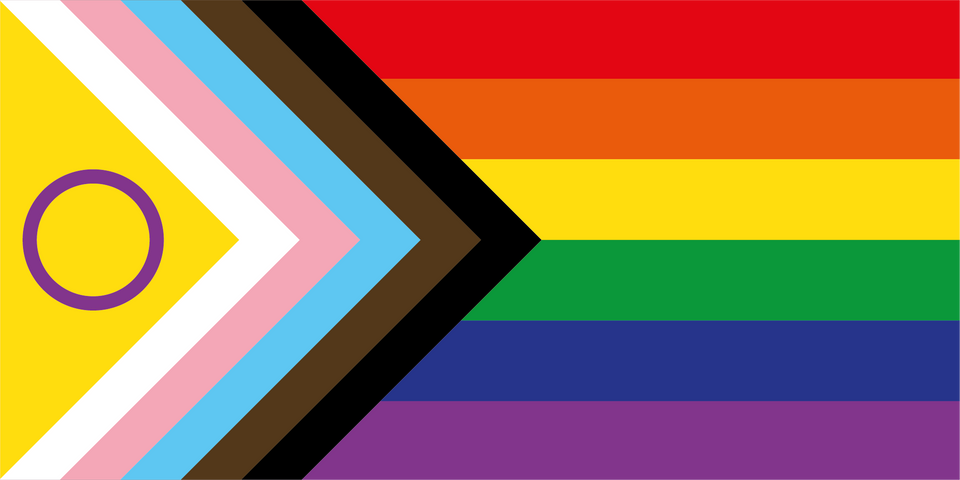 A rainbow flag with a black and brown stripe, an arrow-shaped design with pink, white, blue, black, and brown stripes, and a yellow triangle with a purple circle on it.