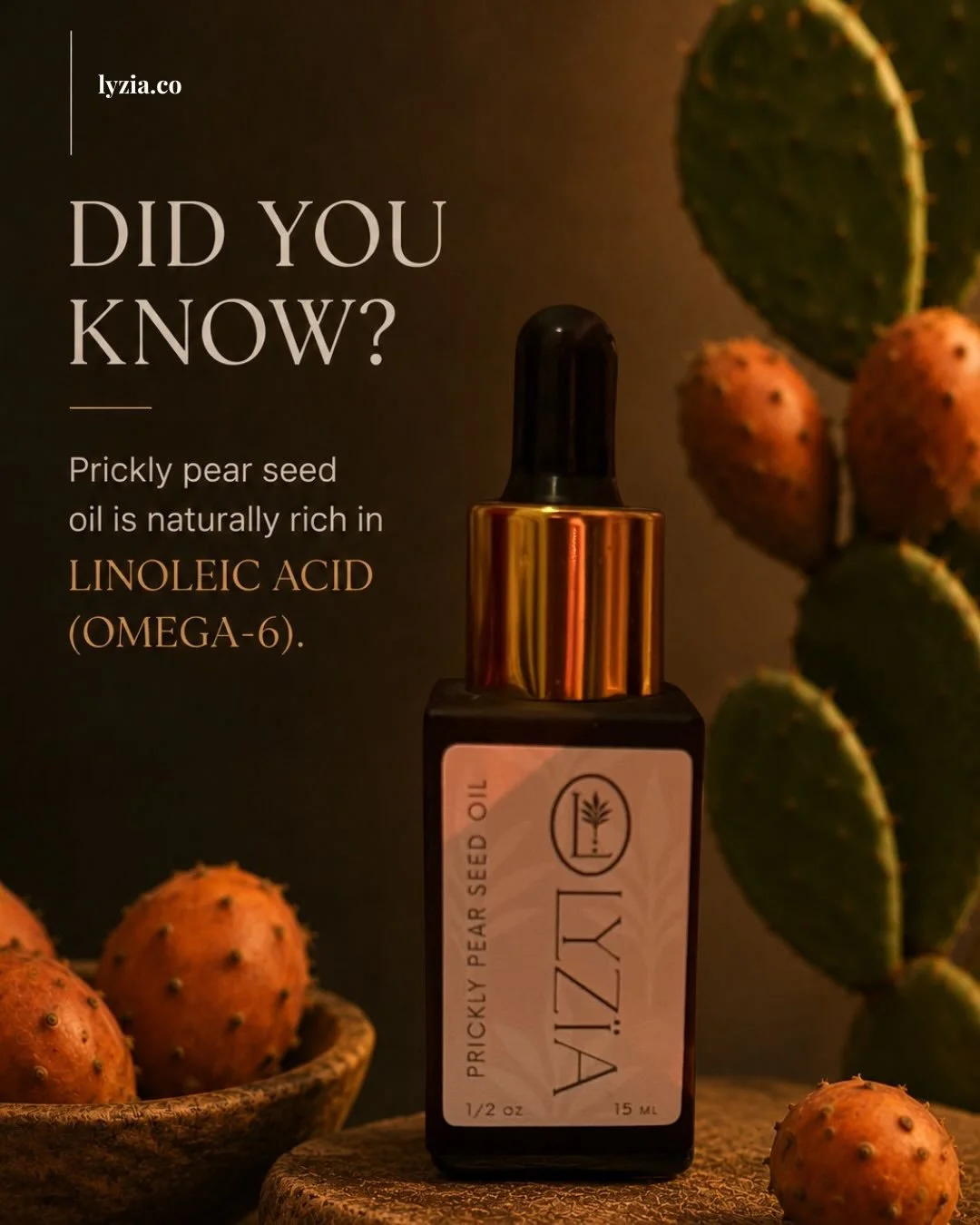 Nature hides some of the most precious ingredients in the world 

Prickly Pear Seed Oil is valued for its naturally high content of essential fatty acids, helping skin feel soft, balanced and beautifully nourished.

Carefully sourced from Morocco.

S