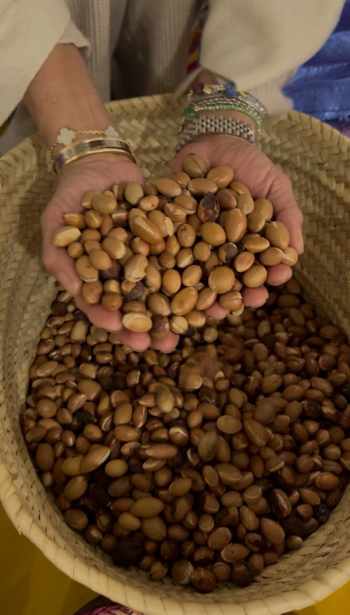 Person holding a handful of hazelnuts above a basket filled with hazelnuts.