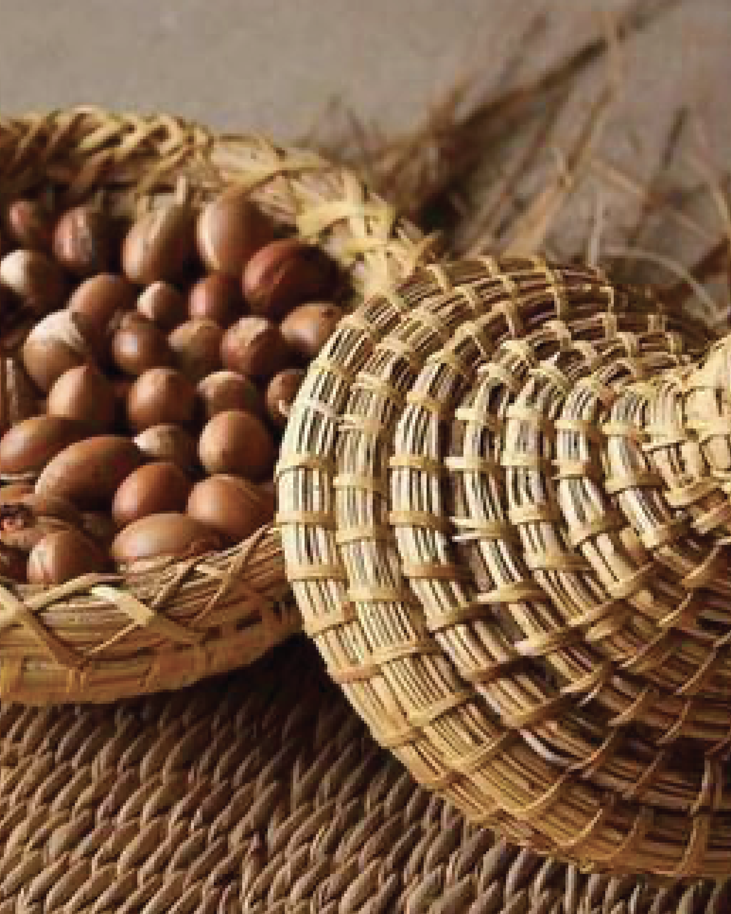 Close-up of a woven basket filled with hazelnuts, placed on a woven mat.