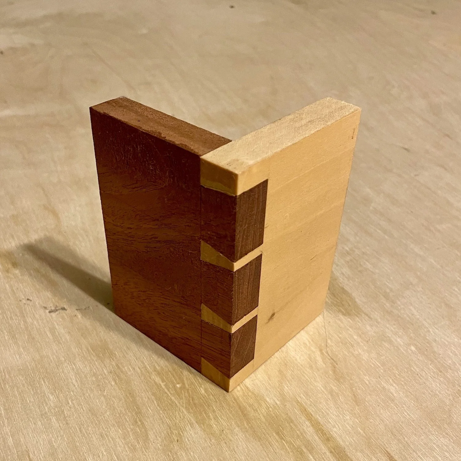 a dovetail joint, cut from mahogany and poplar, sitting on the top of a wooden workbench.