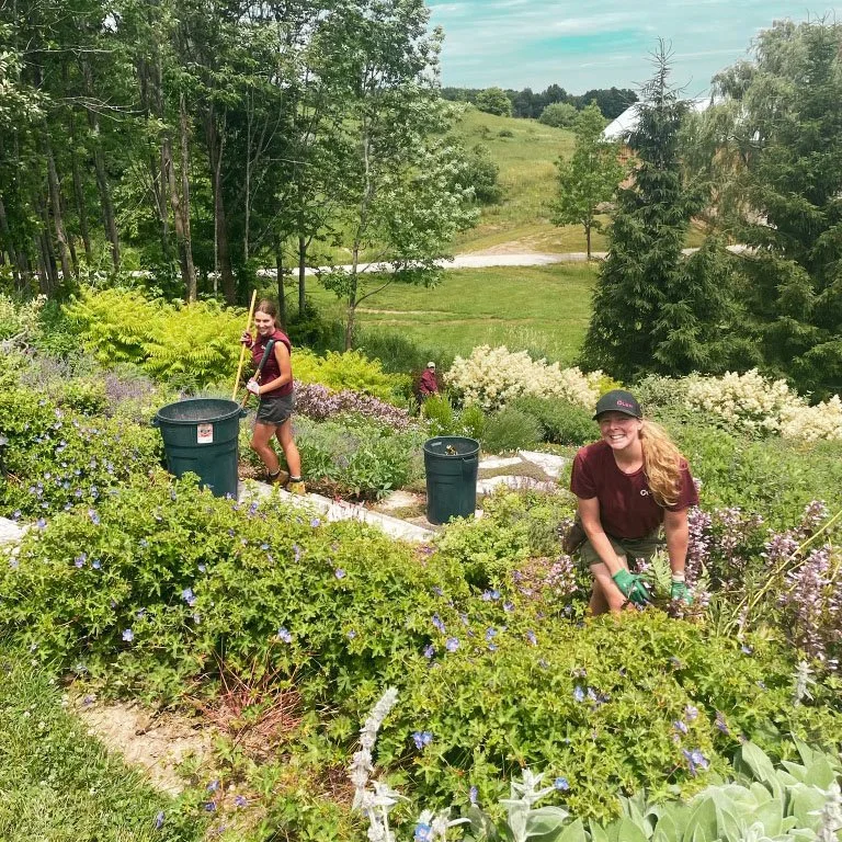Two women gardening in a lush, green outdoor area with flowering plants, trees, and a bright sky.