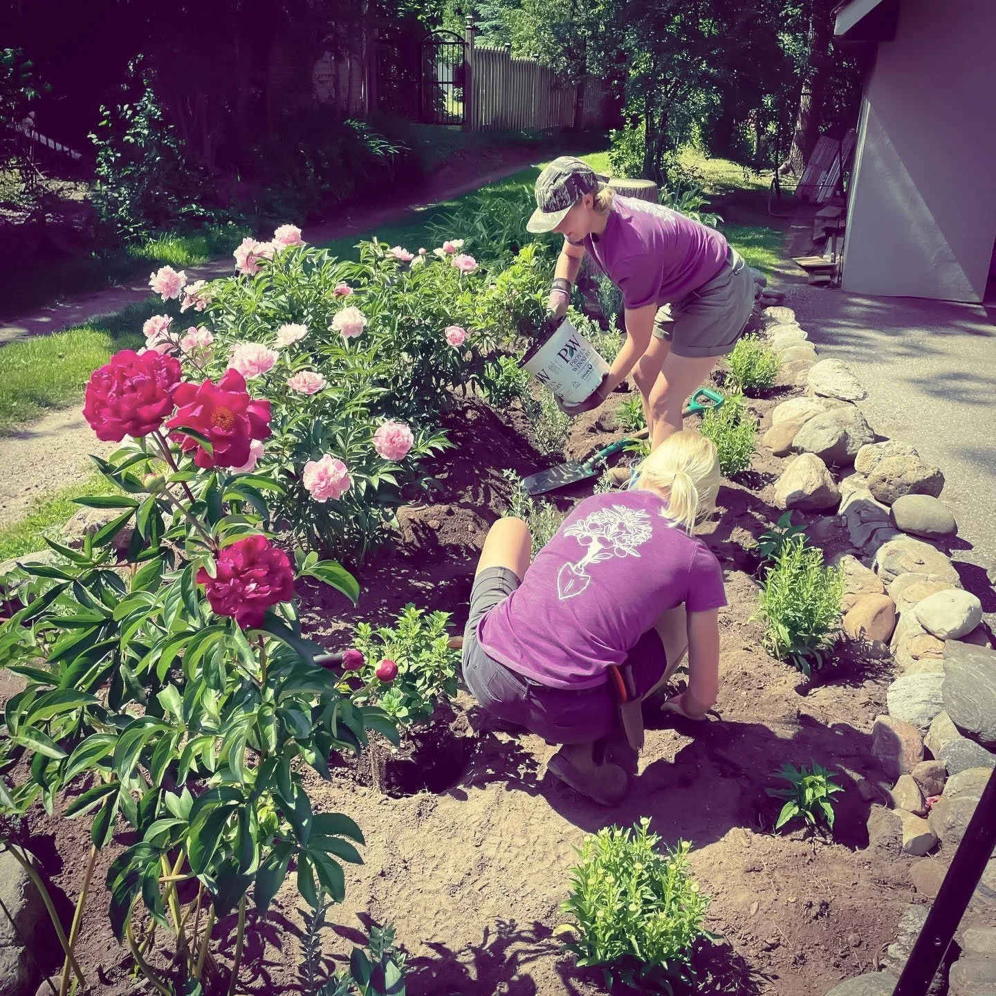 Two women planting and watering flowers in a garden bed surrounded by rocks on a sunny day.