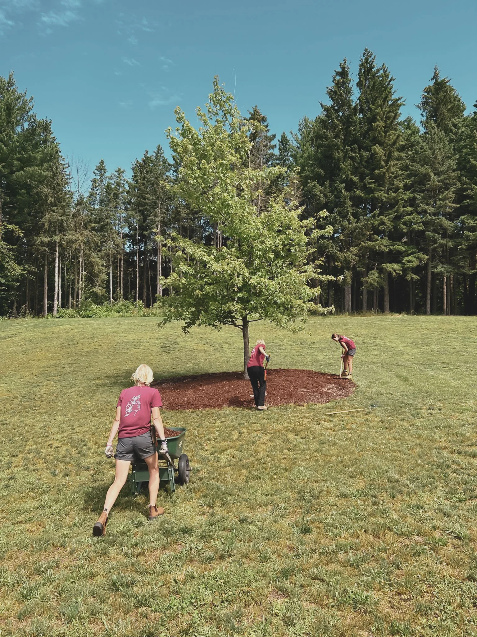 Three people planting a tree in a grassy area with a forest in the background, two of them using gardening tools and one pushing a wheelbarrow.