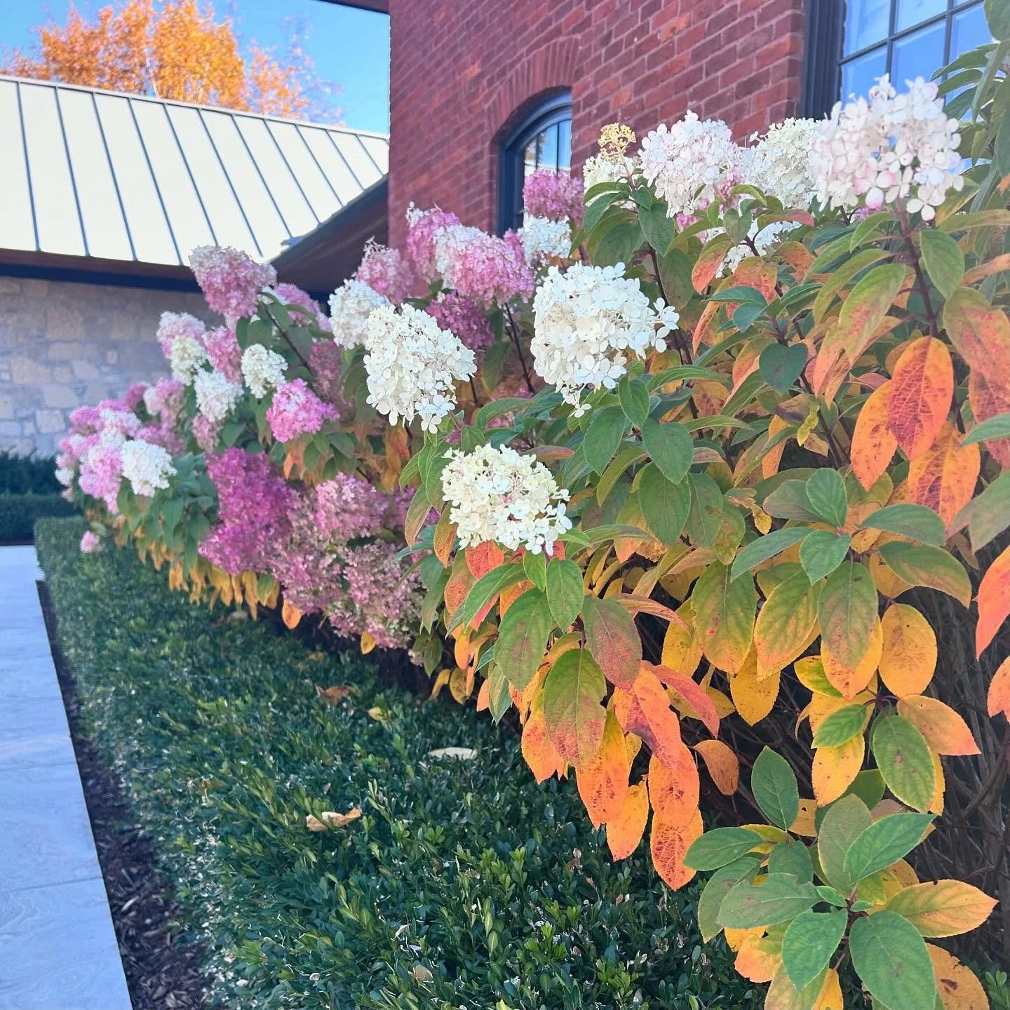 We are so grateful for the beautiful fall season we&rsquo;ve experienced this year! 

Thank you to our clients and this wonderful group of gals who contributed to making Plum Gardens&rsquo; 6th season a success.