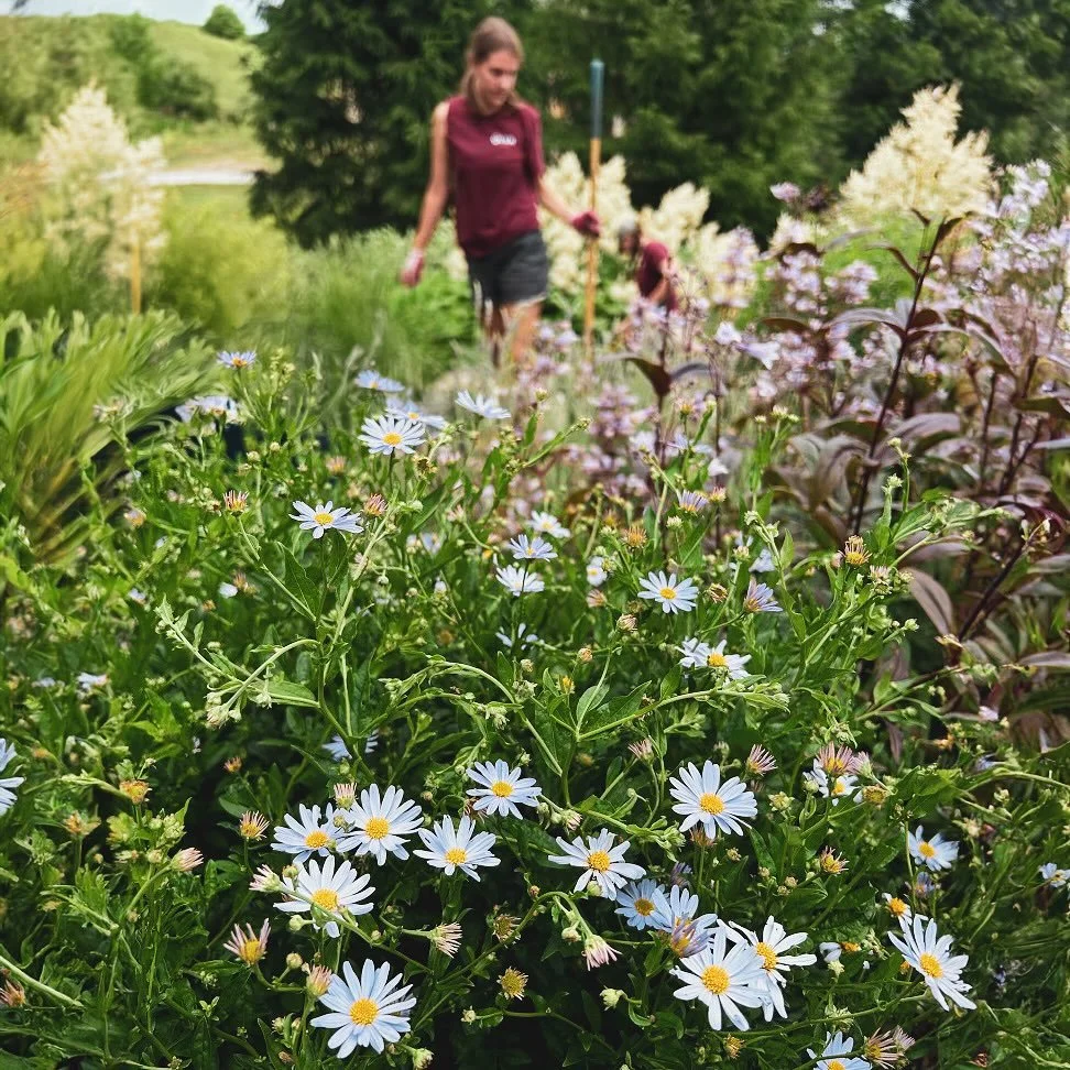 Halfway through the season with these lovely ladies! 🌼🌼🌼