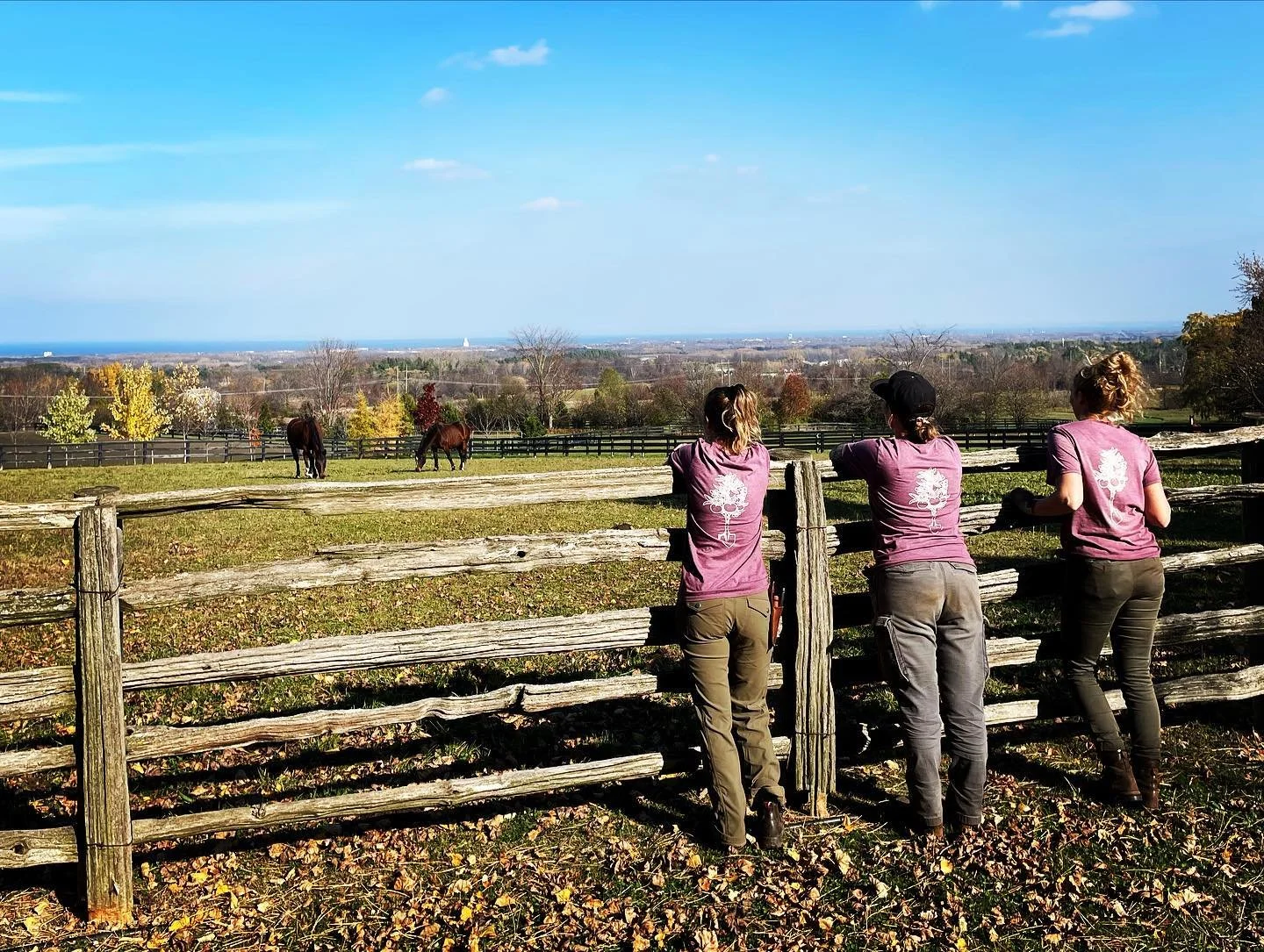With a lot of patience and perseverance we got our finish!
Shoutout to Mother Nature for always keeping us on our toes. ❄️ 

Lucky to have such amazing clients and a bad ass group of ladies to spend my days with. 🙏 
See you in the Spring!

#girlswho
