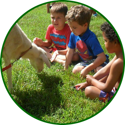 Three kids sitting on the grass, interacting with a goat in a backyard or park setting.
