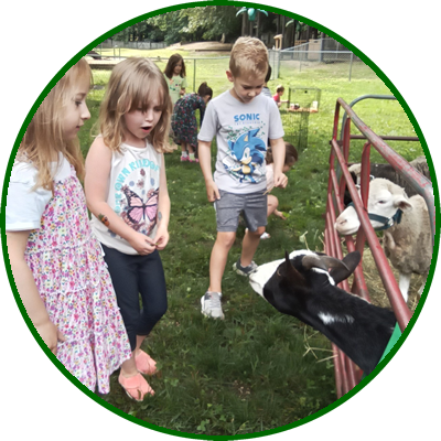 Children at a farm petting goats and sheep behind a red fence.