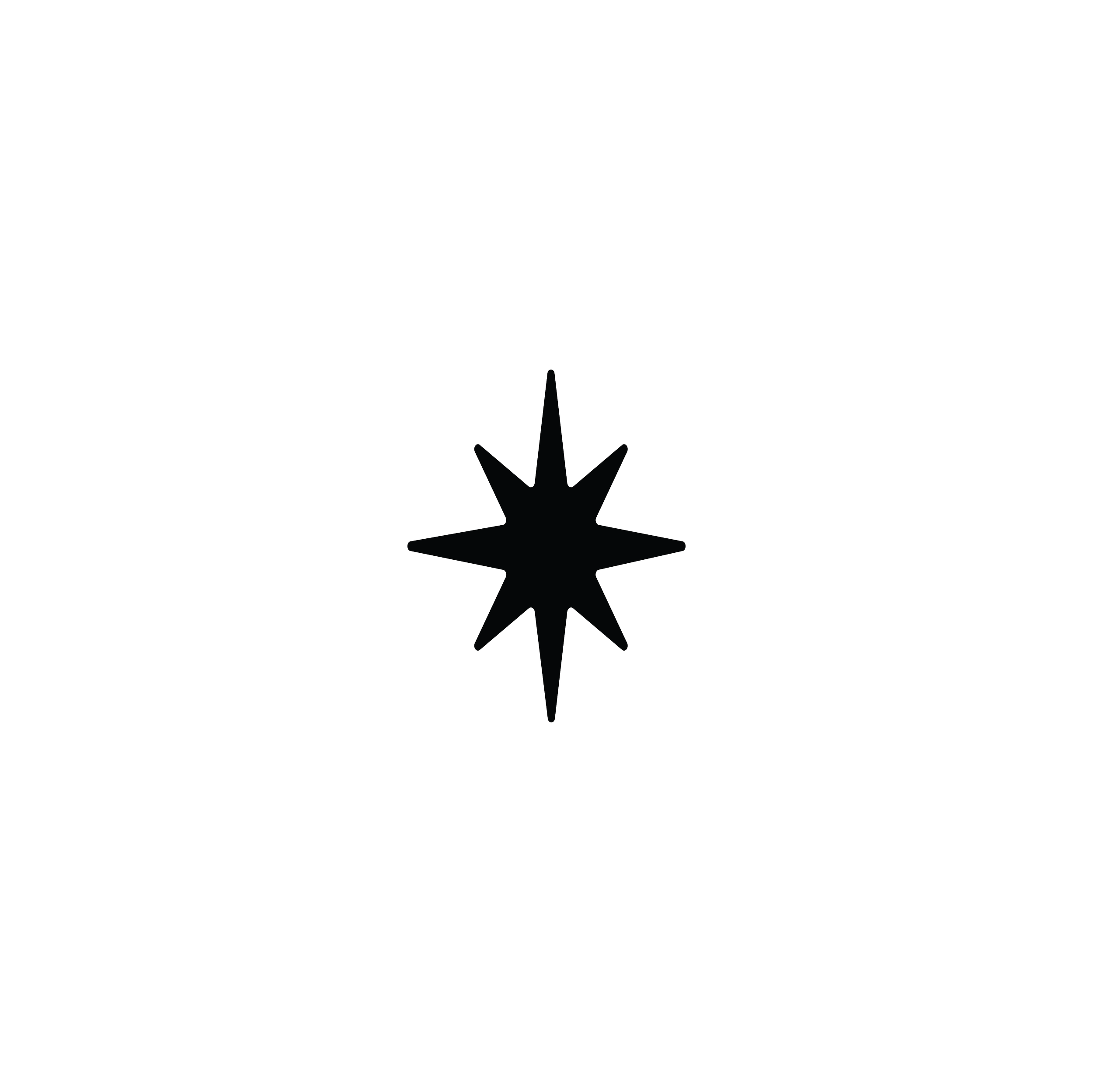 Brand Mark