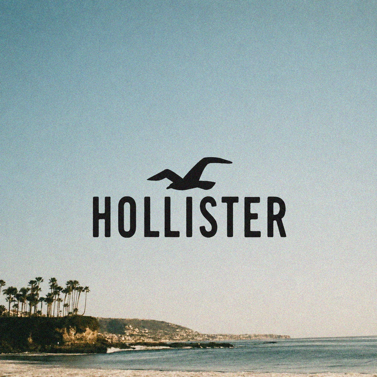 Hollister Co. Design Brief