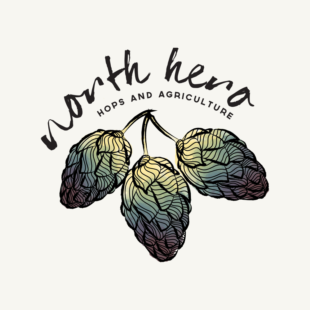 Concept logo for North Hero Hops & Agriculture (now Kraemer & Kin), a brewery based in North Hero, Vermont.
