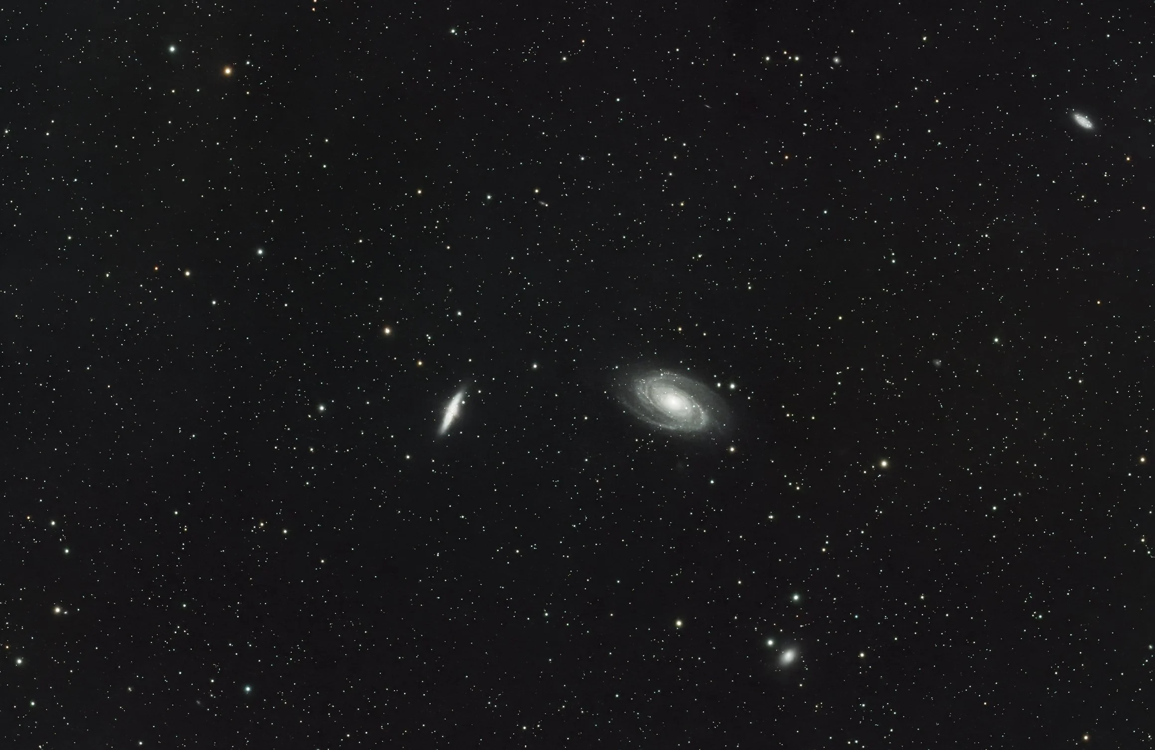M81 and Surrounding Galaxies