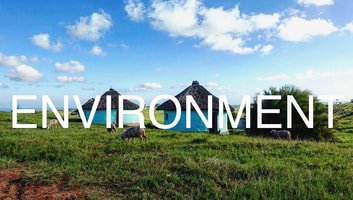 A rural scene with small houses on a grassy field under a blue sky with clouds.