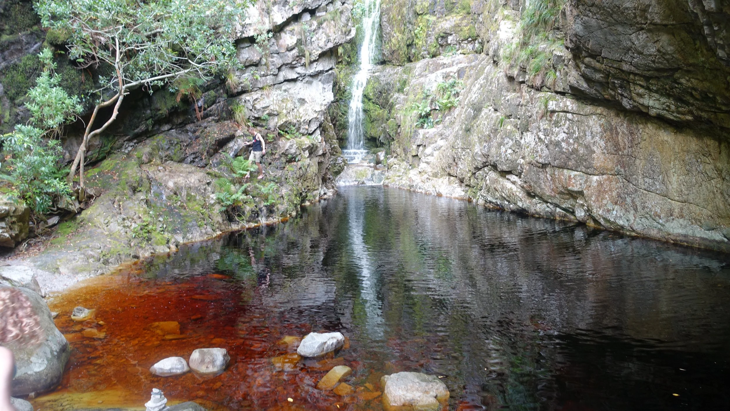 A person hiking beside a rocky stream with a small waterfall in a forest