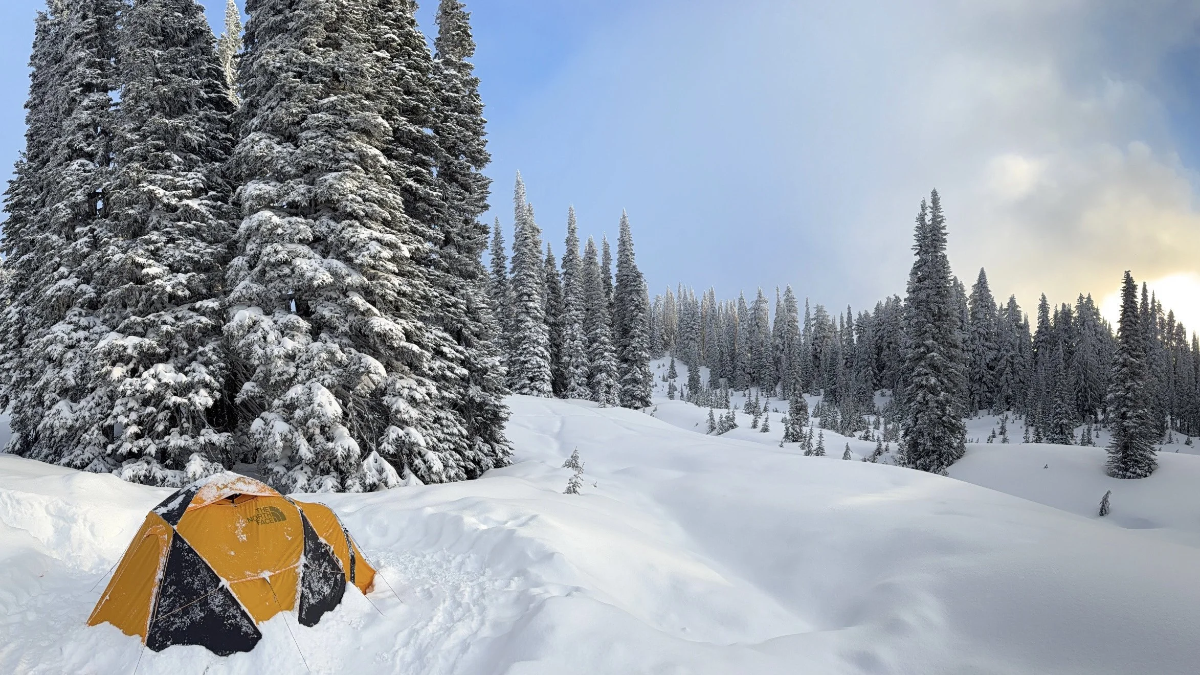 A yellow and black tent set up in snowy landscape surrounded by snow-covered pine trees with a blue sky and clouds in the background.