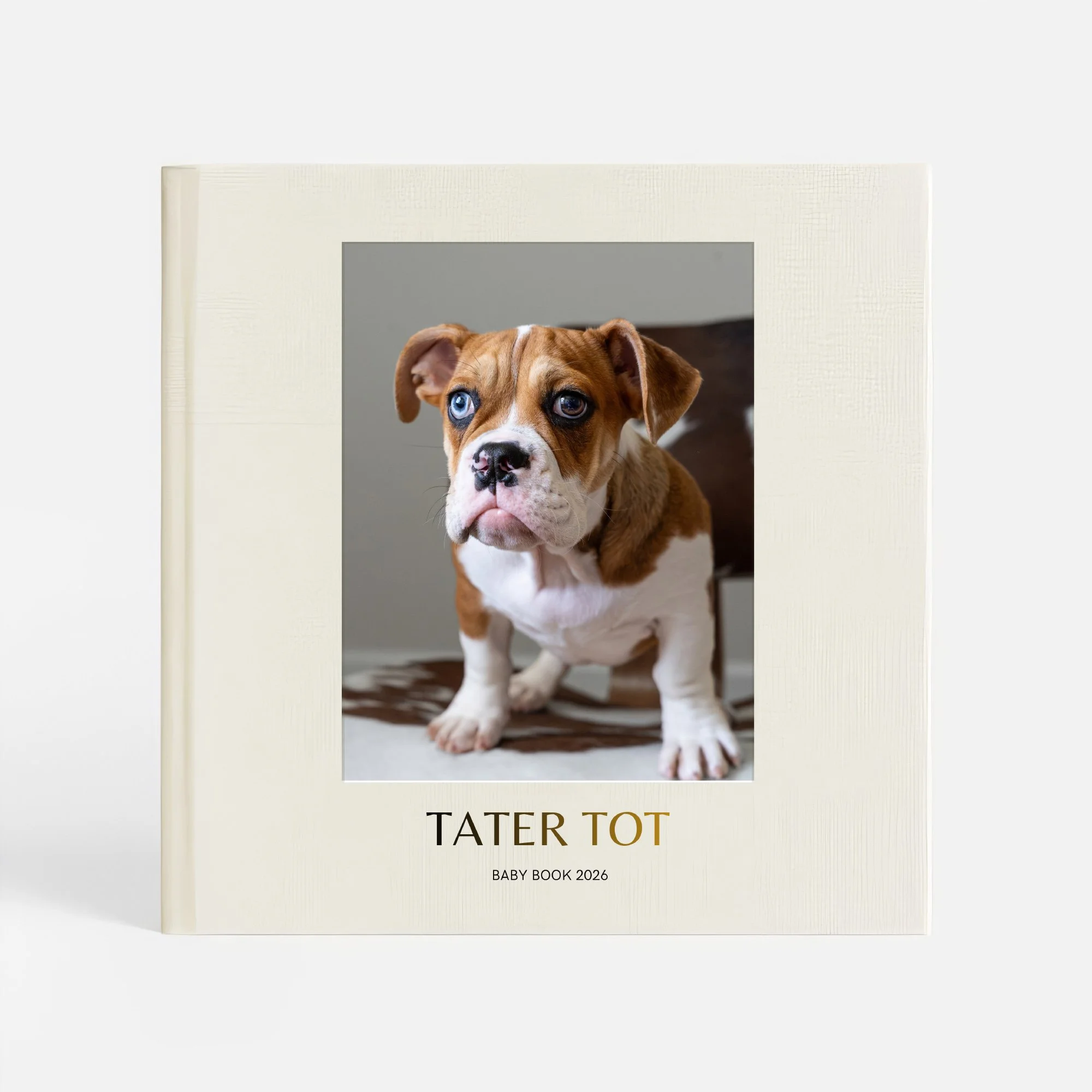 Cover of a baby book titled "Tater Tot," featuring a puppy with one blue eye and one brown eye looking at the camera.