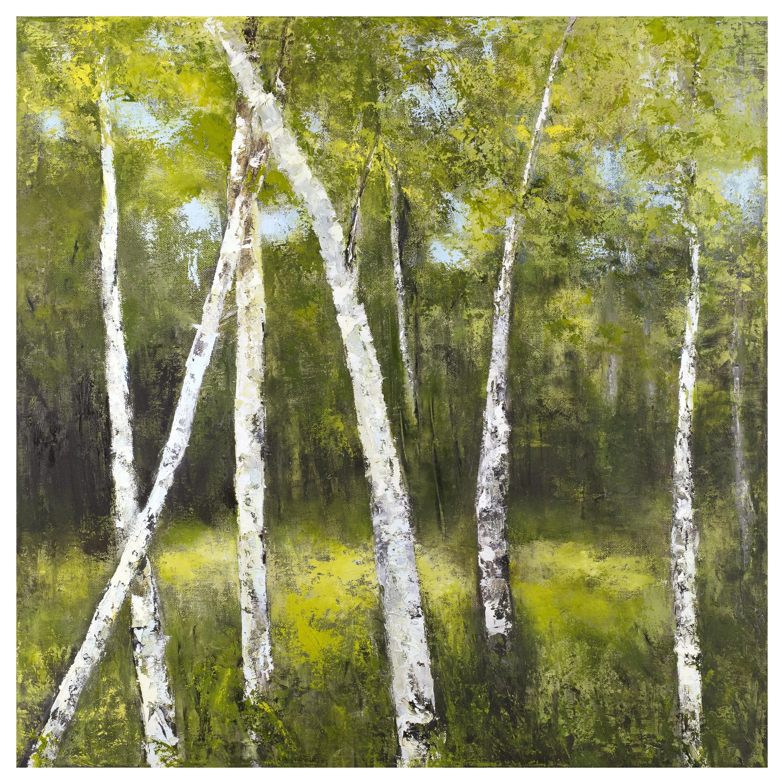 Birch Forest