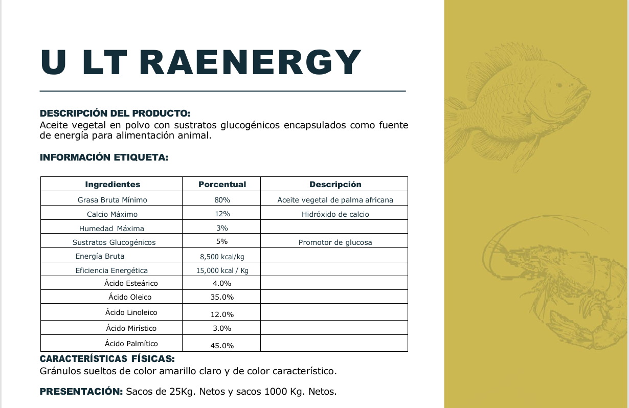 Captura de pantalla 2026-02-12 160615.png