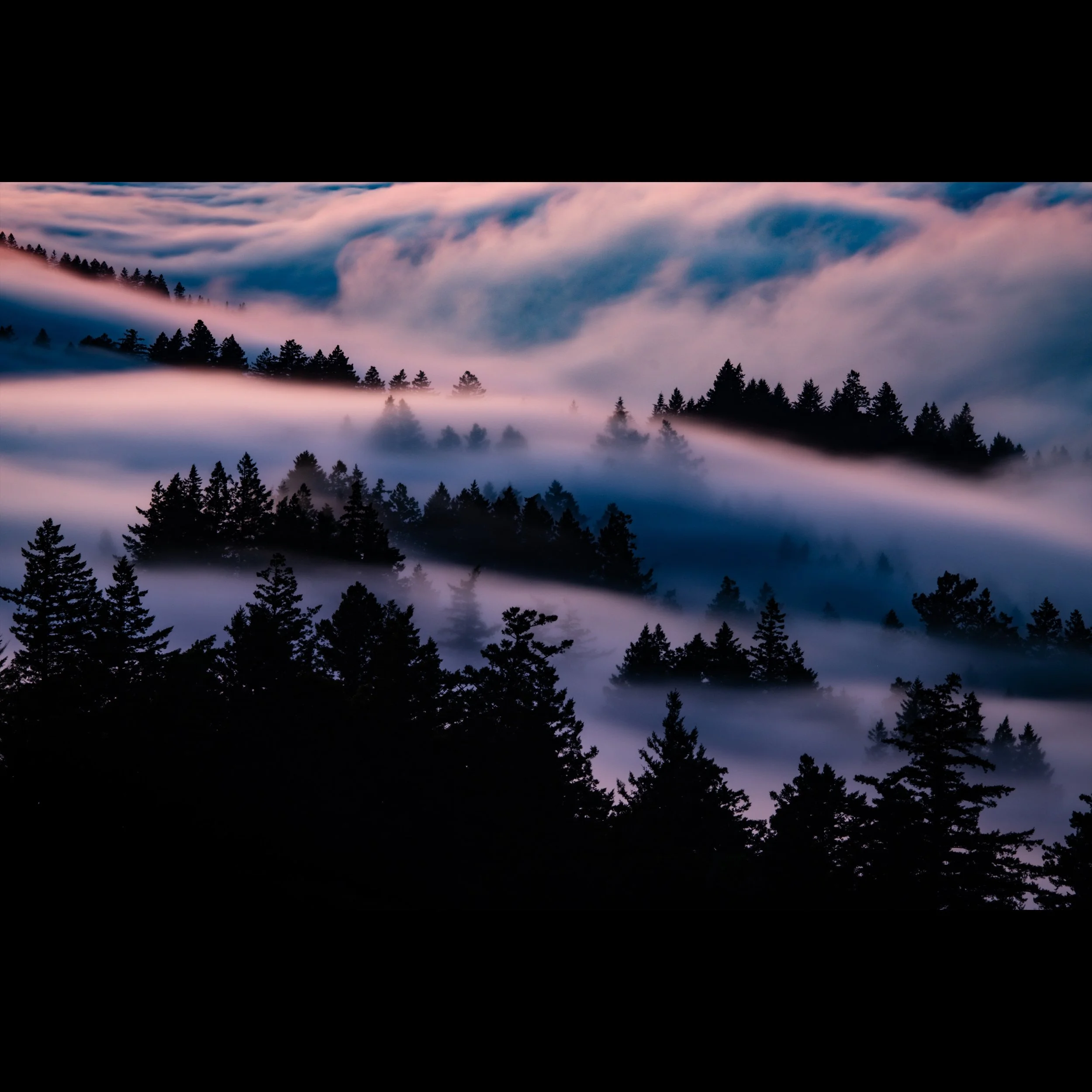 Waves of Fog