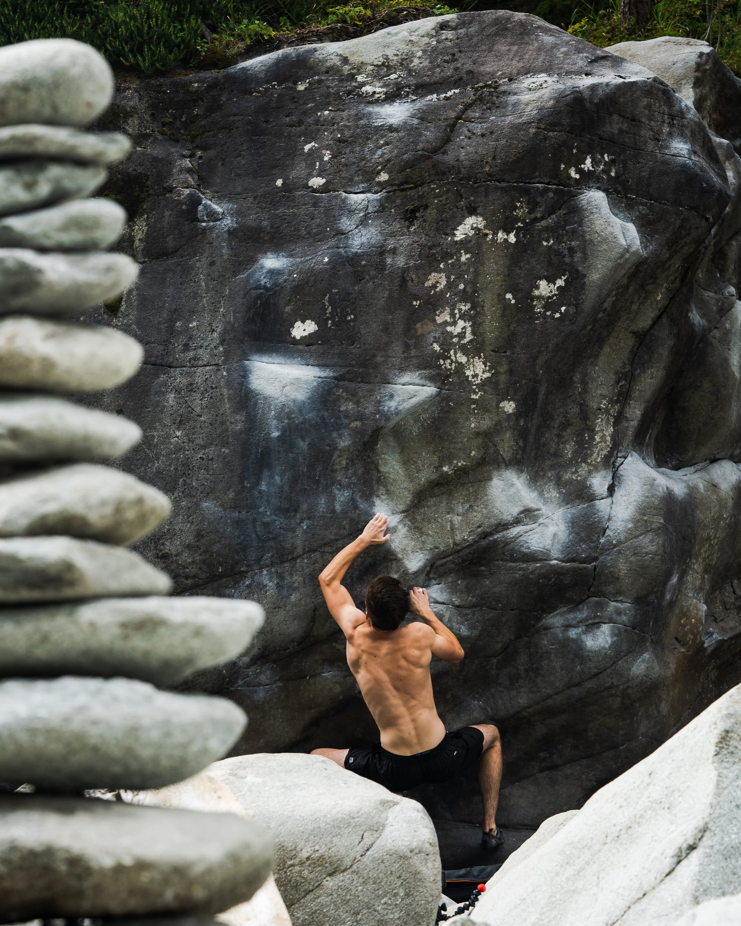 20210913.milesMagicWoods (12 of 28).jpg