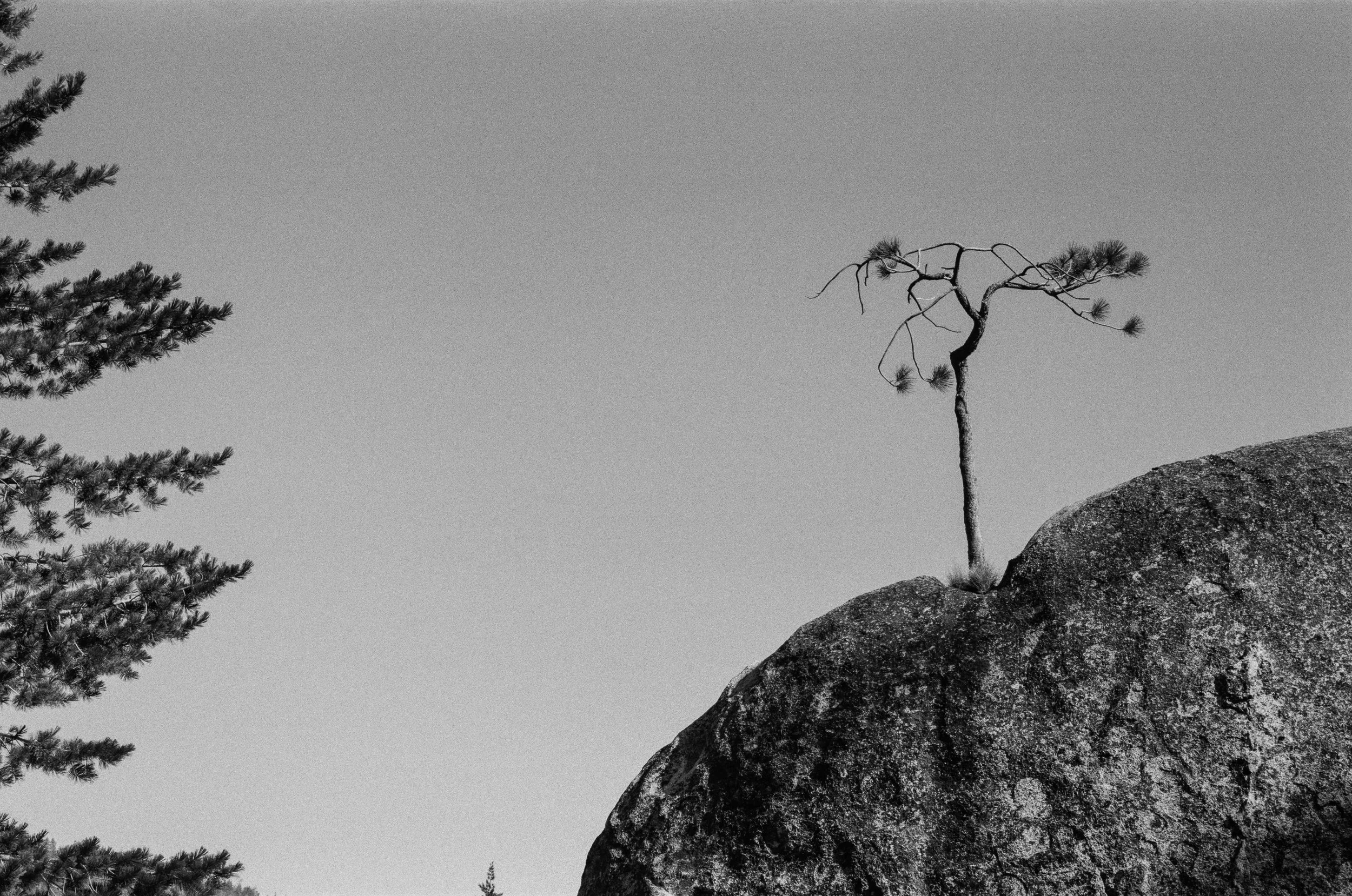 20230813.ilford.california.13 small.jpeg