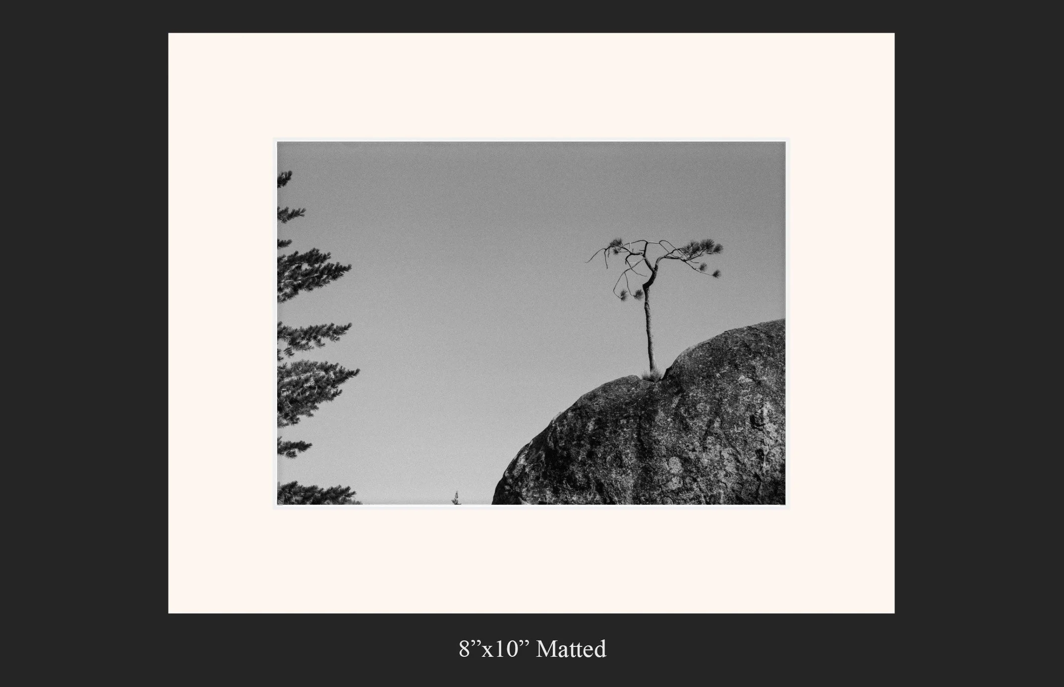 20260406.8x10matted.10.text.jpg