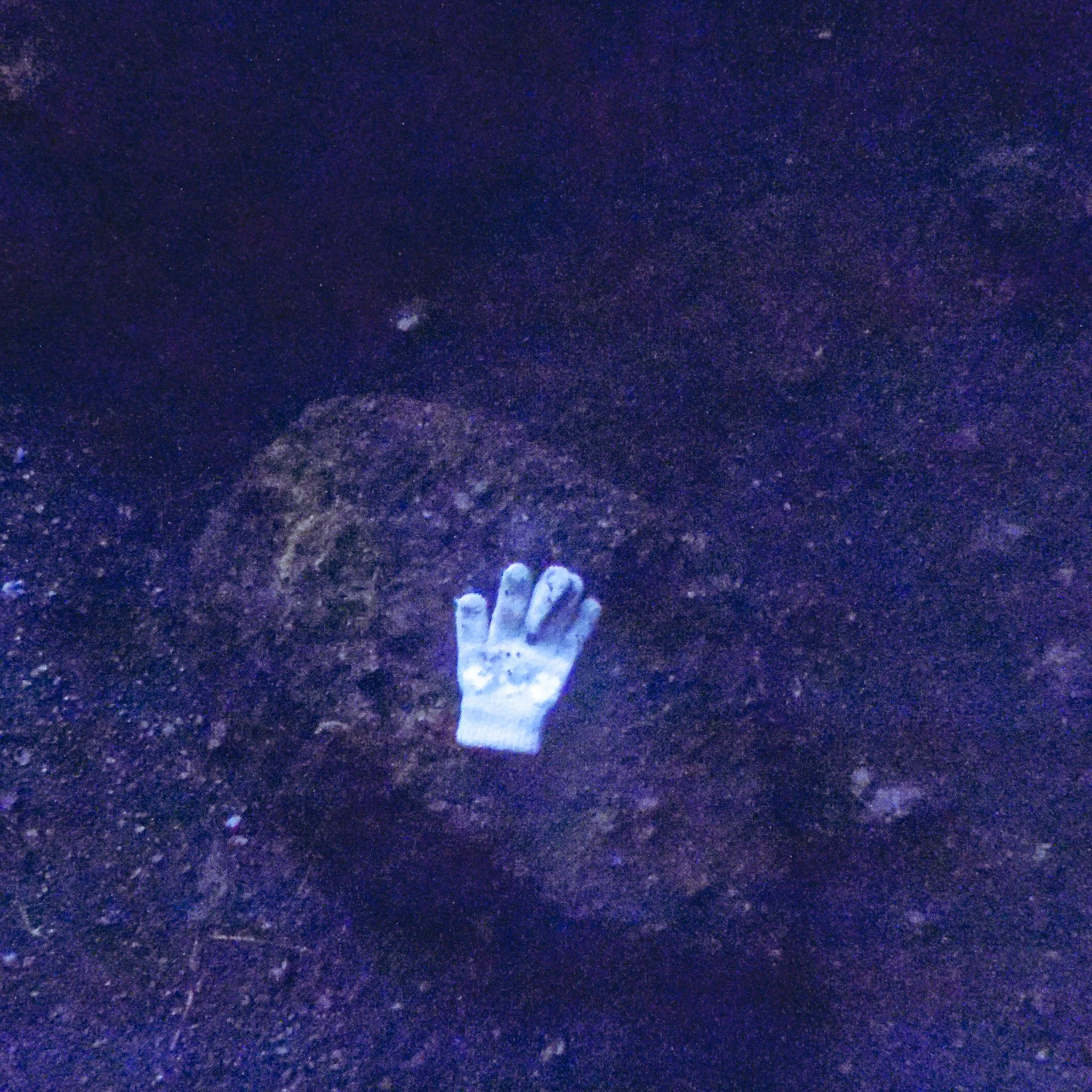 A white glove on the ground surrounded by dark soil or dirt.