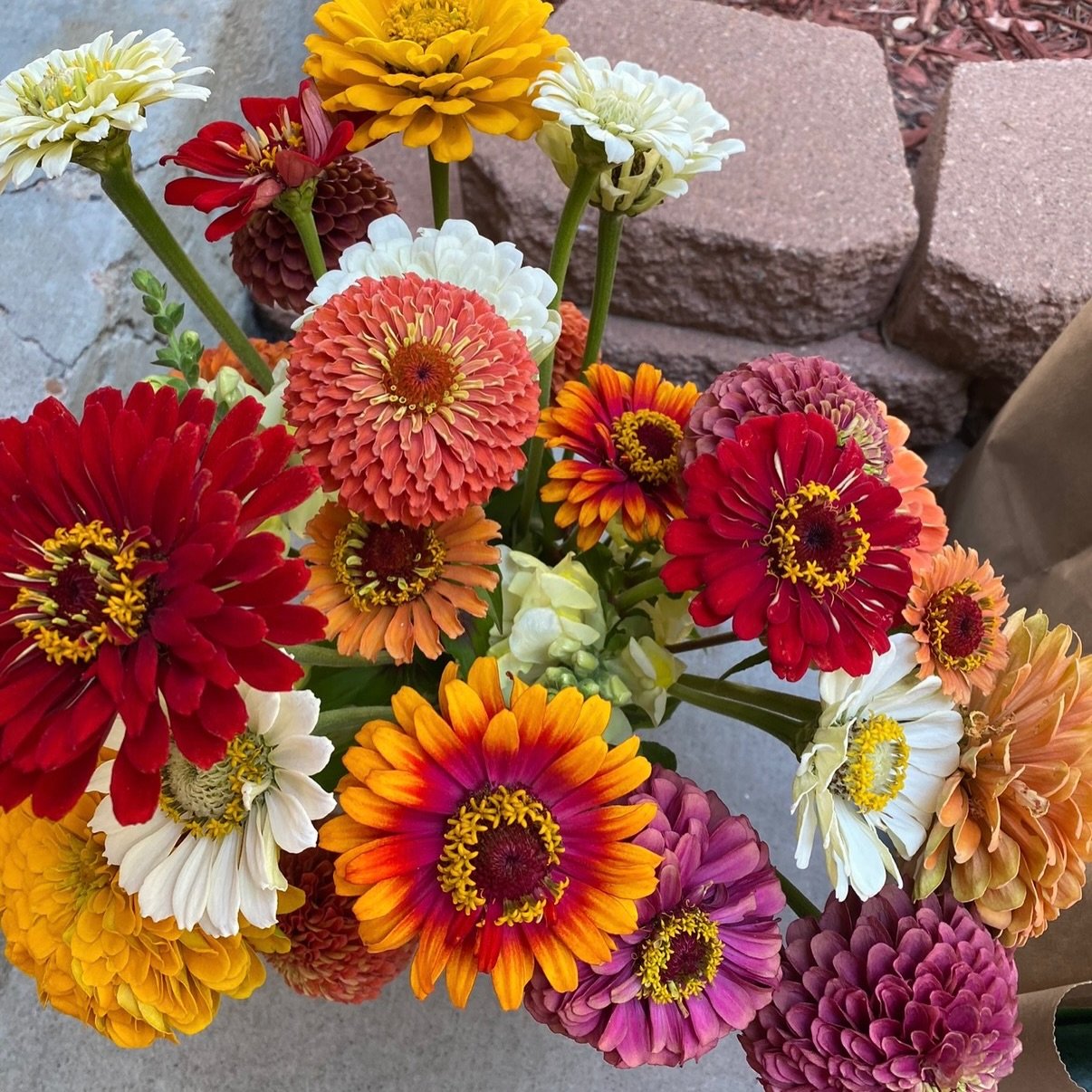 For the past few days I&rsquo;ve been trying to find the right words after losing my best friend. 

Words that could possibly express the impact she made on my life, how much she meant to me, and the sorrow her passing brings. 

And honestly, there i