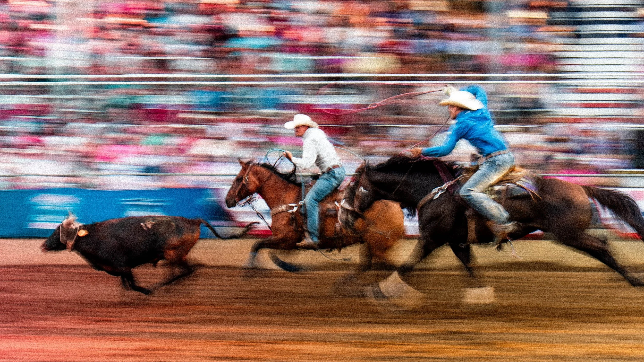 RODEO-13.jpg