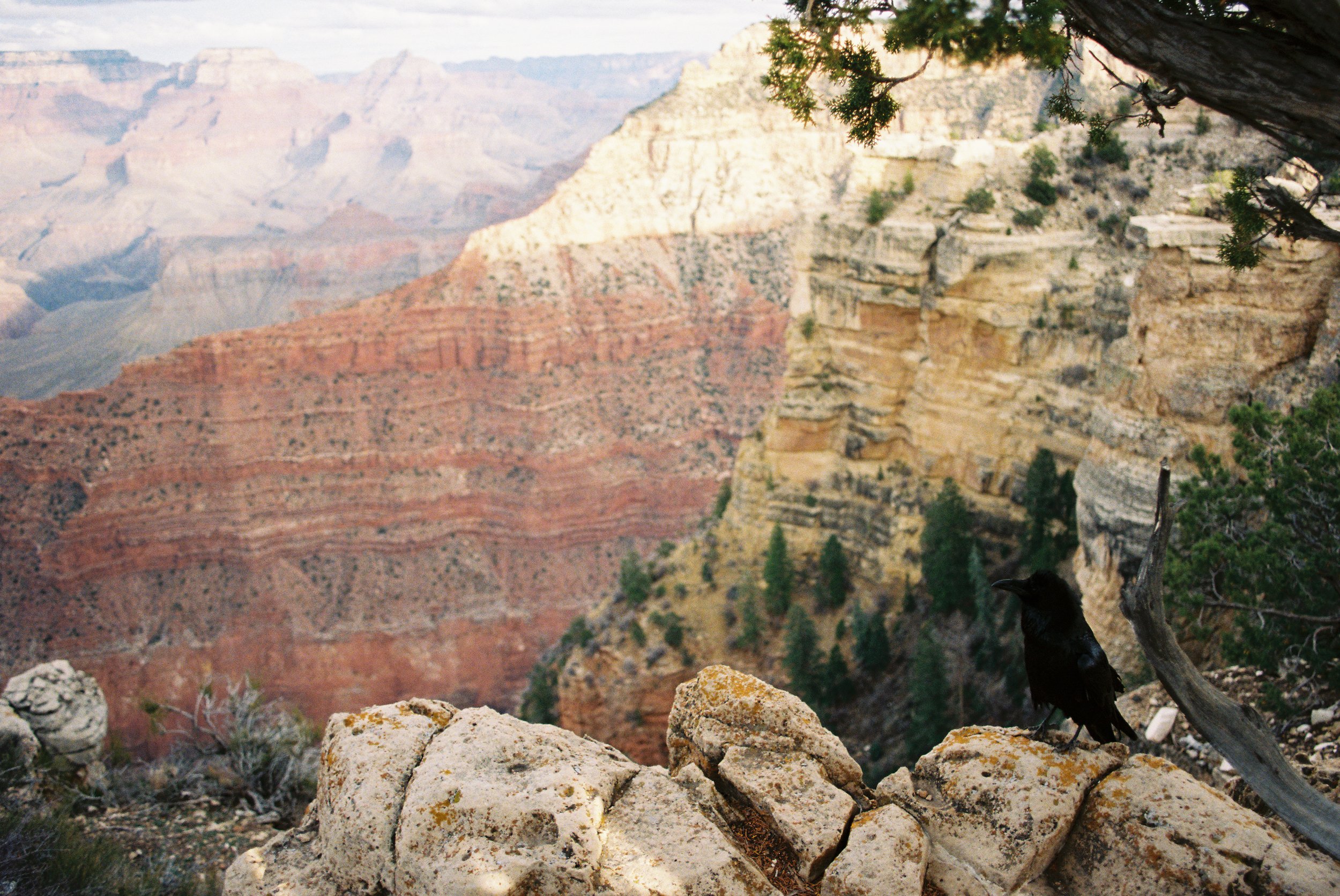 w212969009028-R1-024.jpg