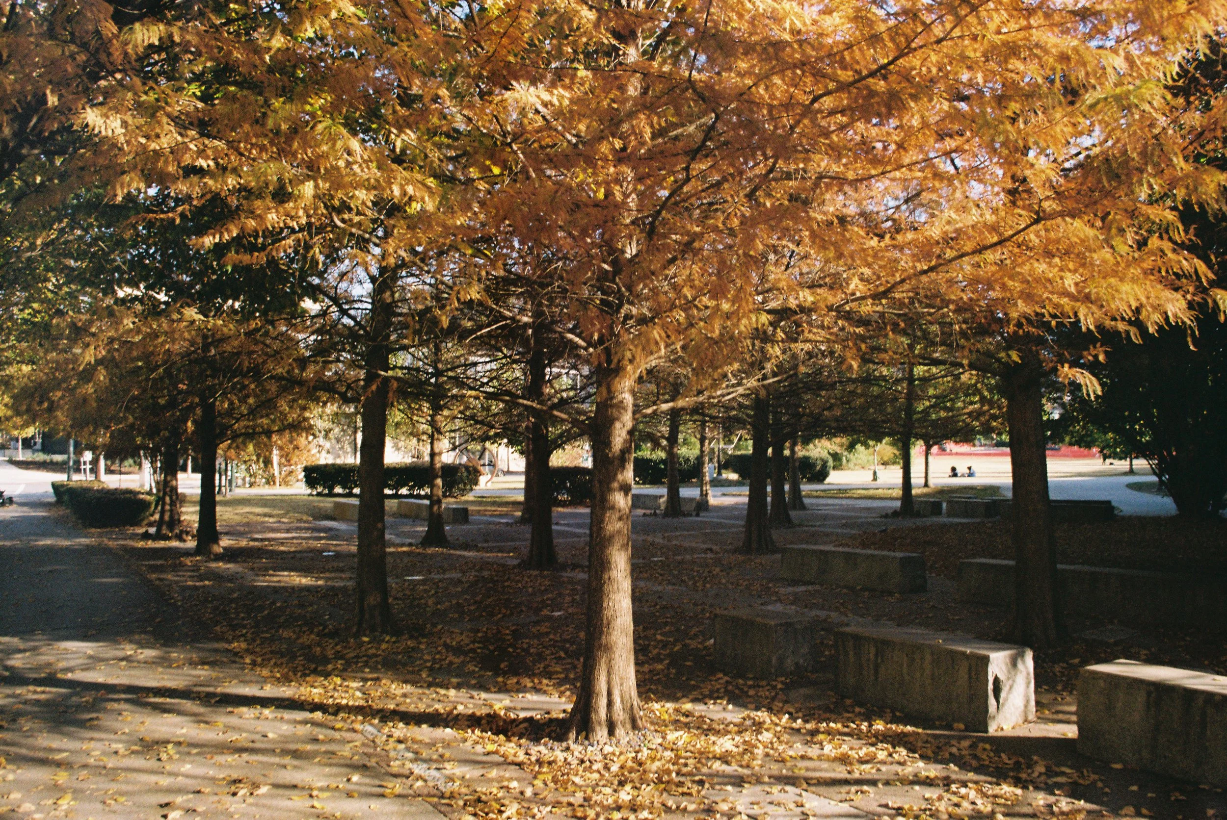 w217303007086-R1-012.jpg
