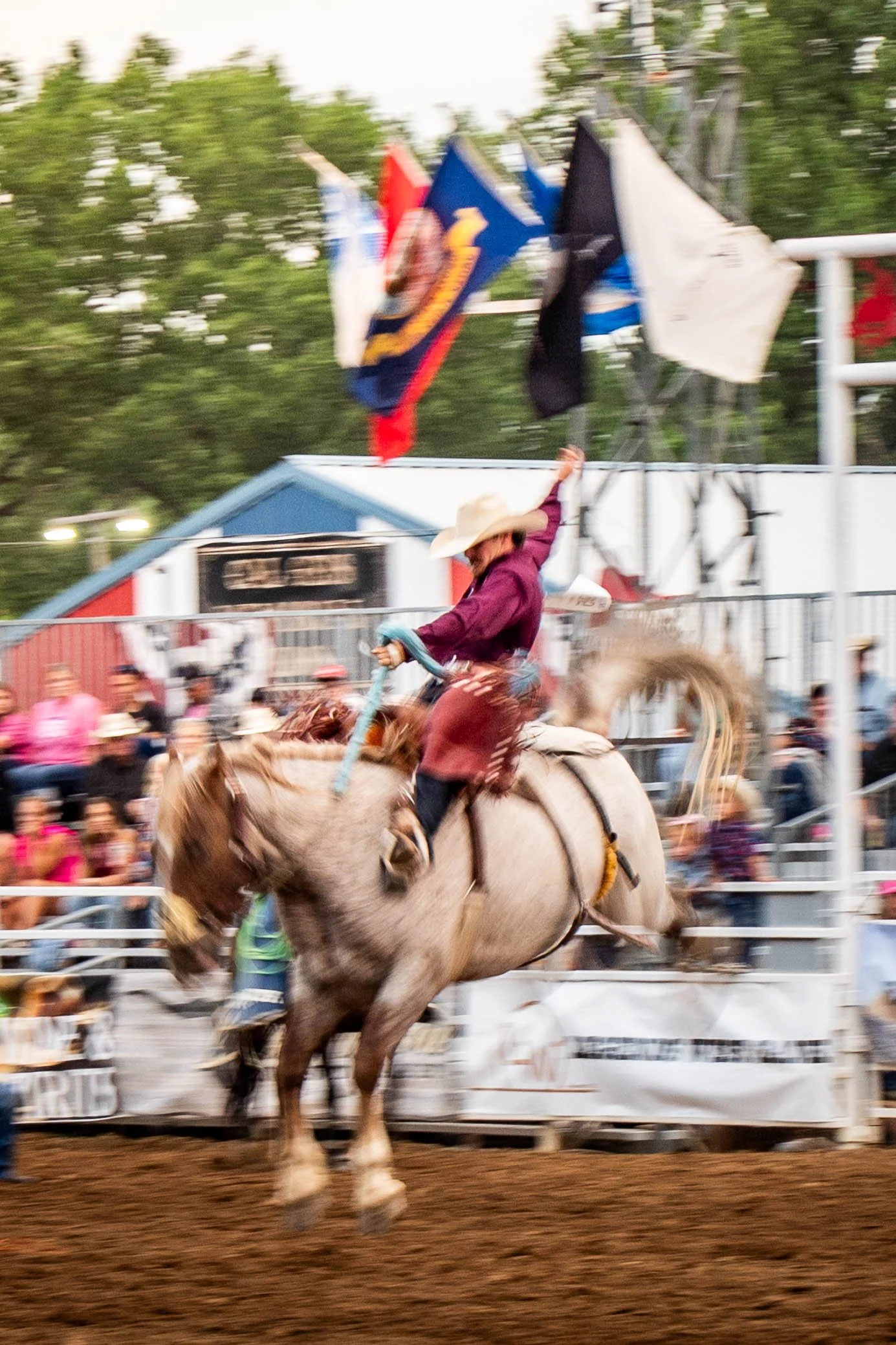 RODEO-22.jpg