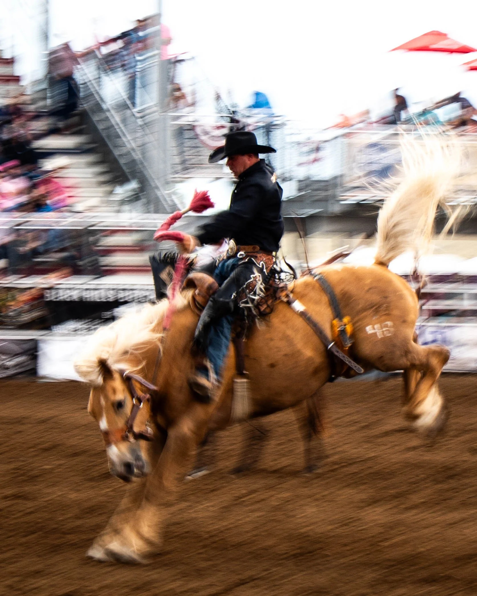 RODEO-18.jpg