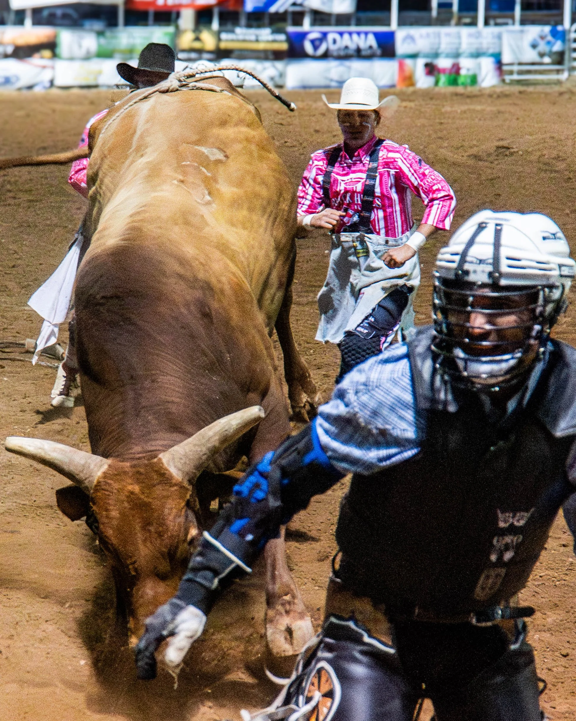 RODEO-34.jpg