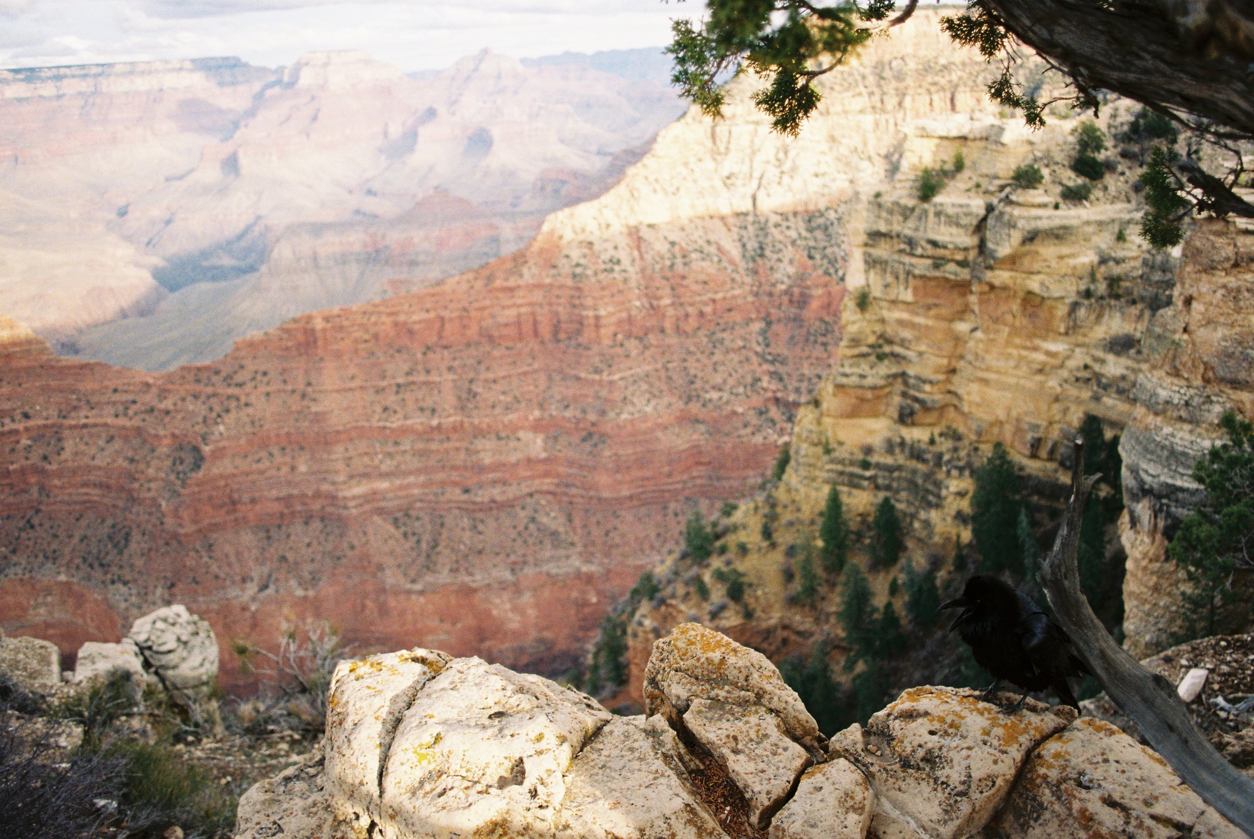 w212969009028-R1-022.jpg