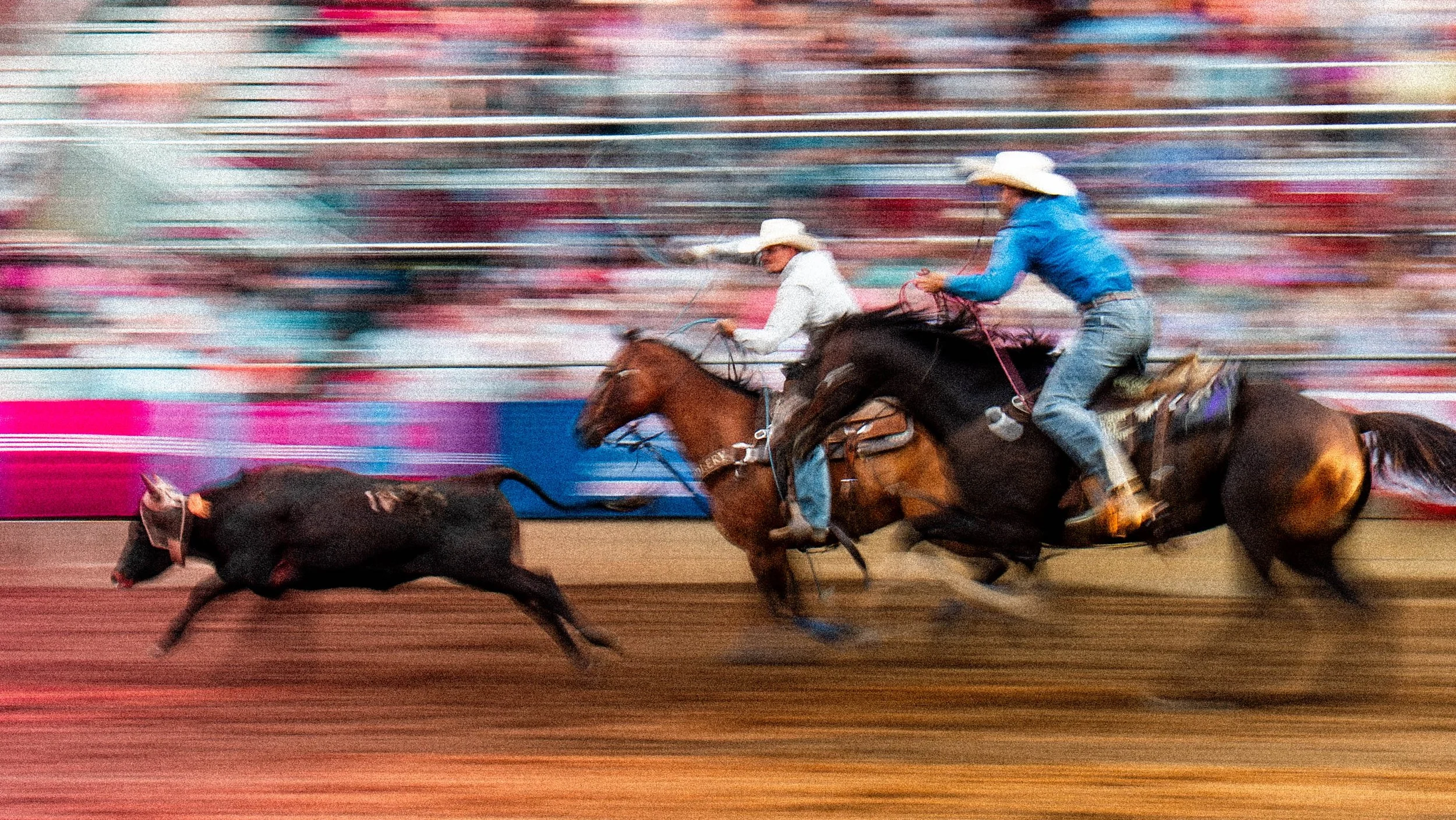 RODEO-14.jpg