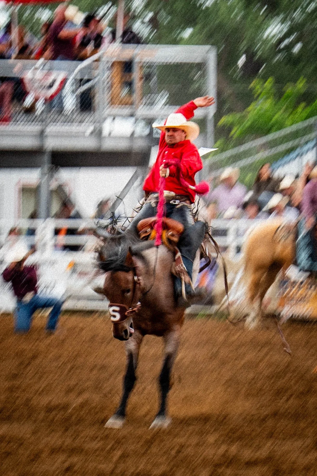 RODEO-20.jpg