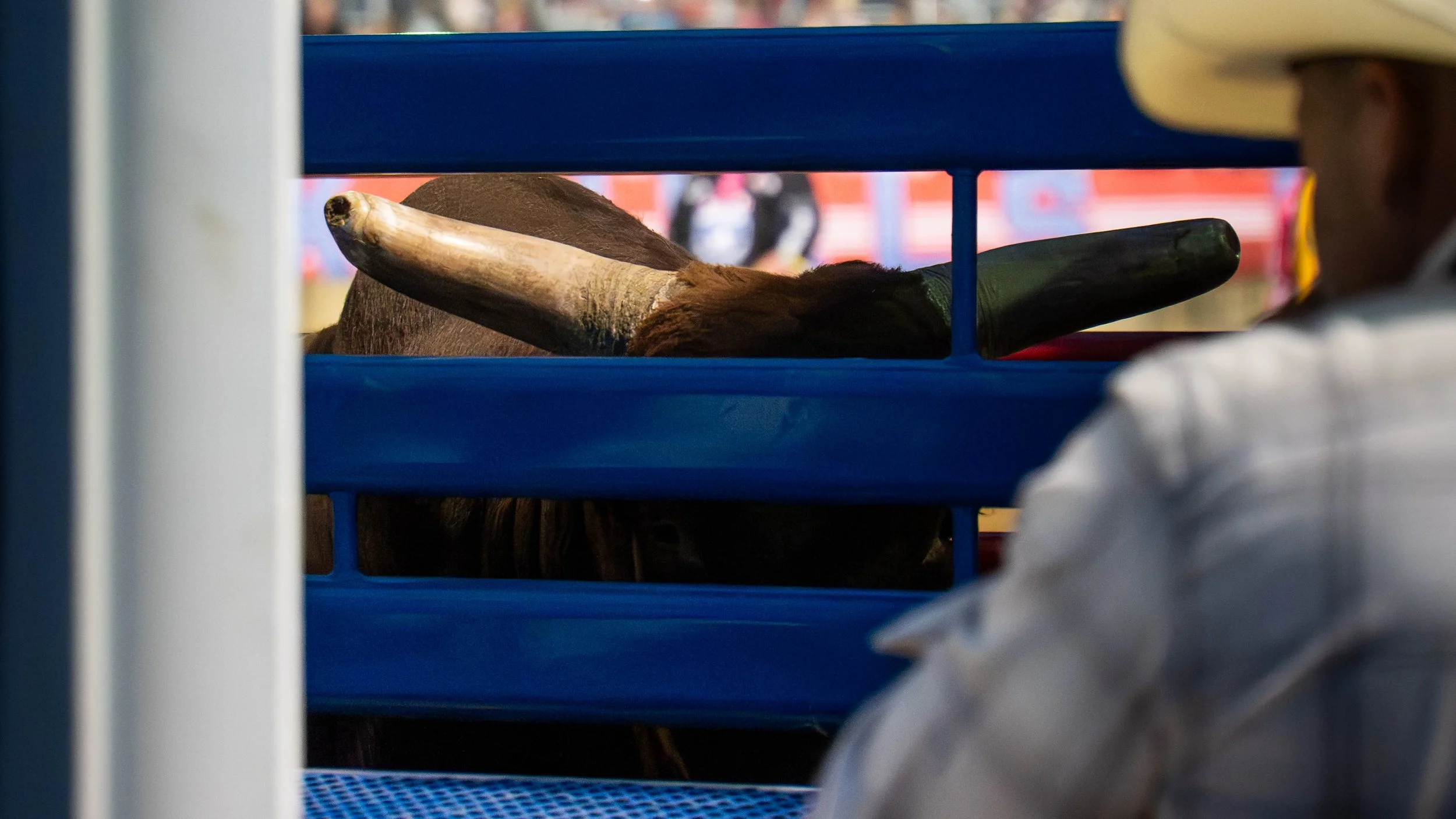 RODEO-32.jpg