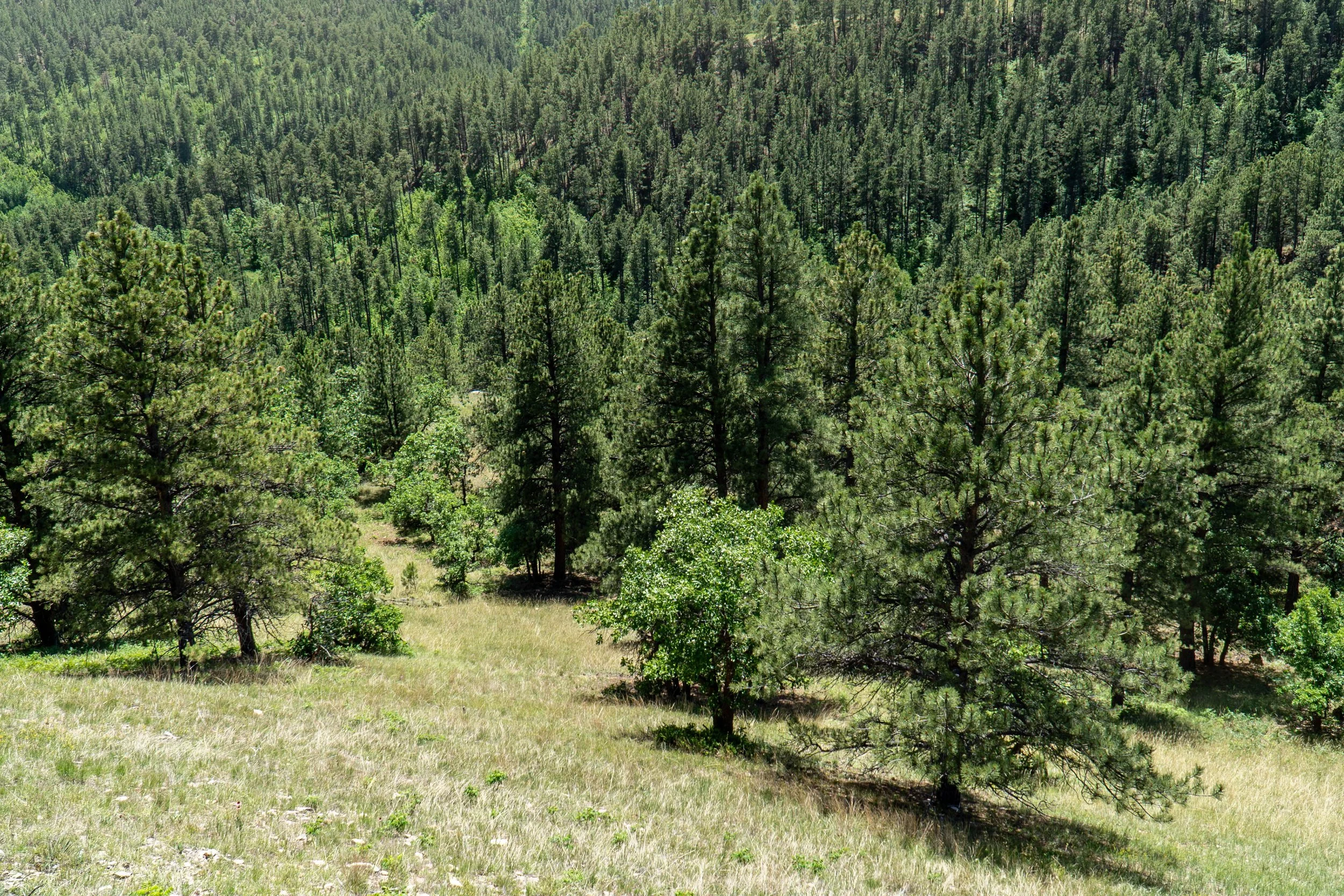 DSC09270.jpg