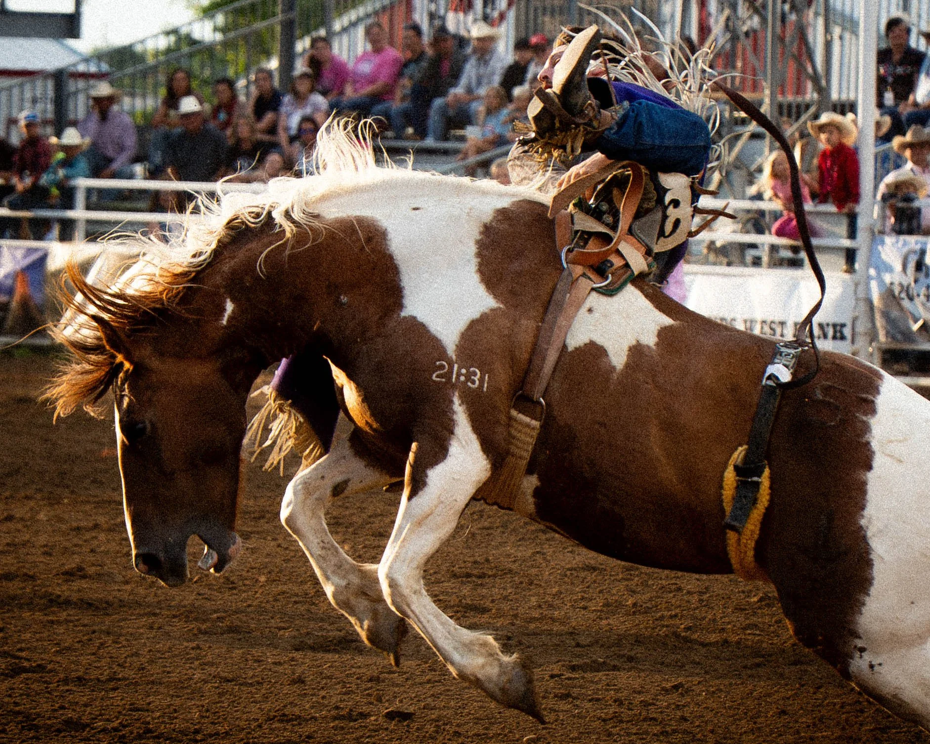 RODEO-7.jpg