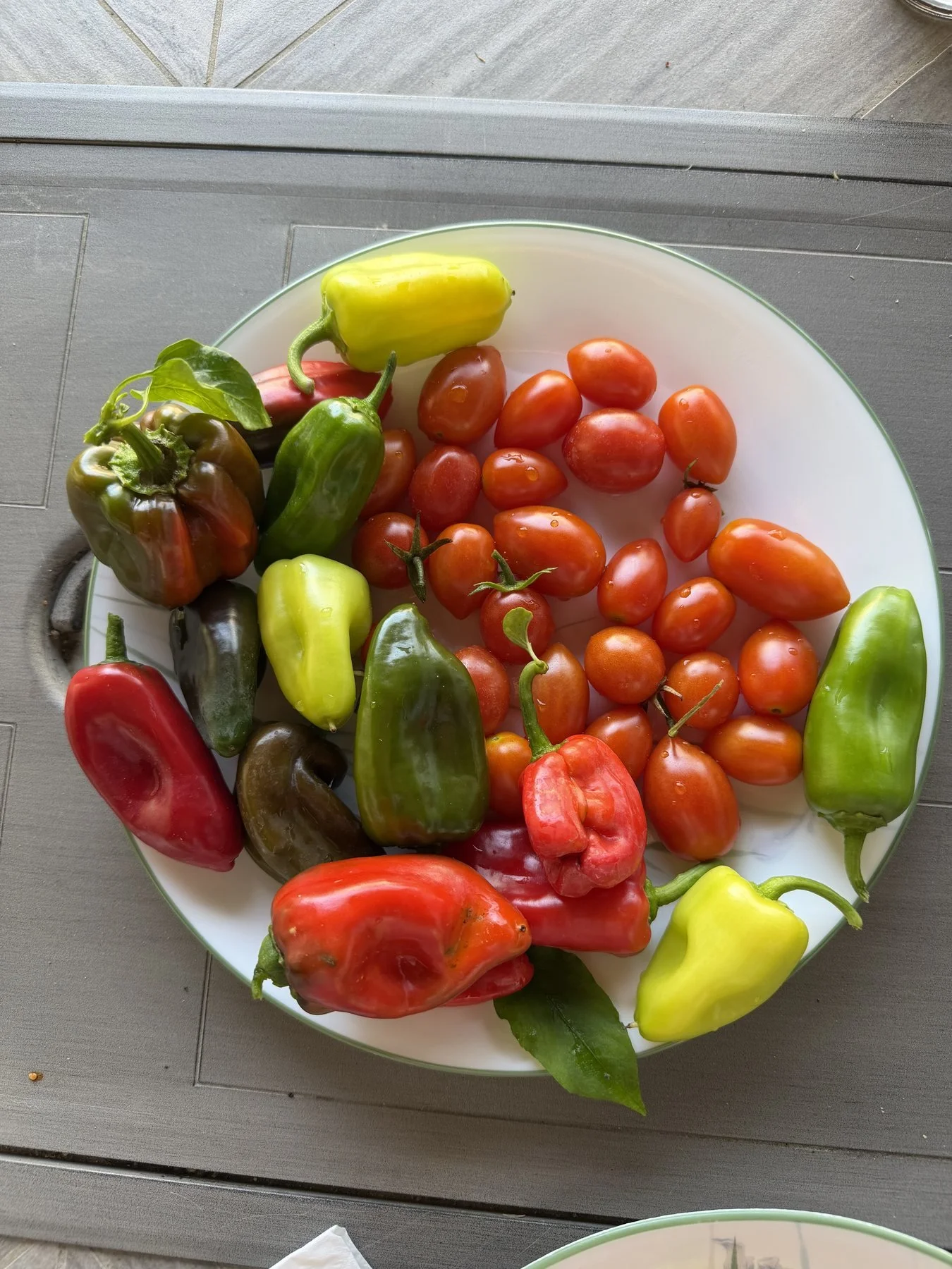 Fresh-harvested vegetables grown using regenerative soil practices