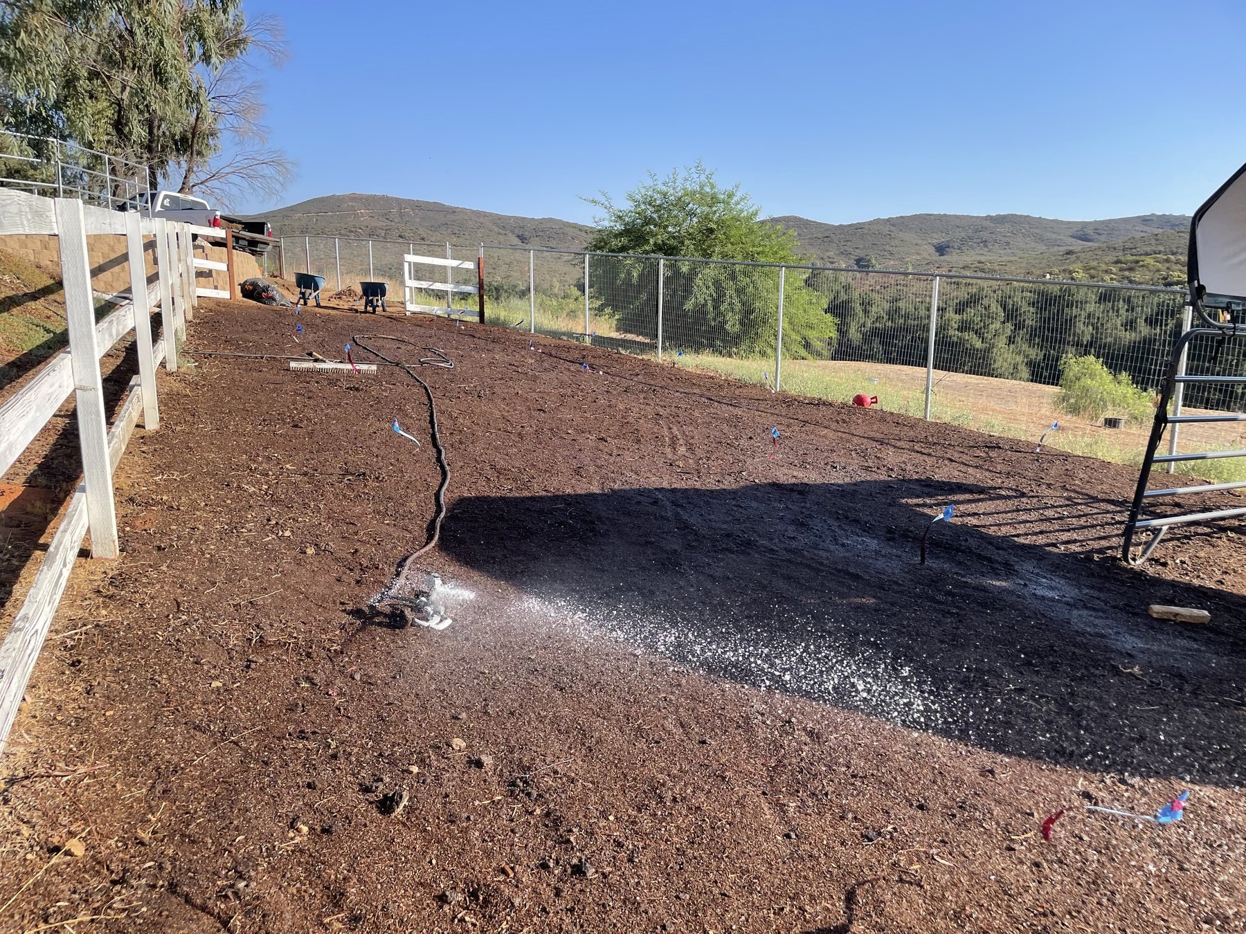 Hard-packed, compacted soil before regenerative restoration
