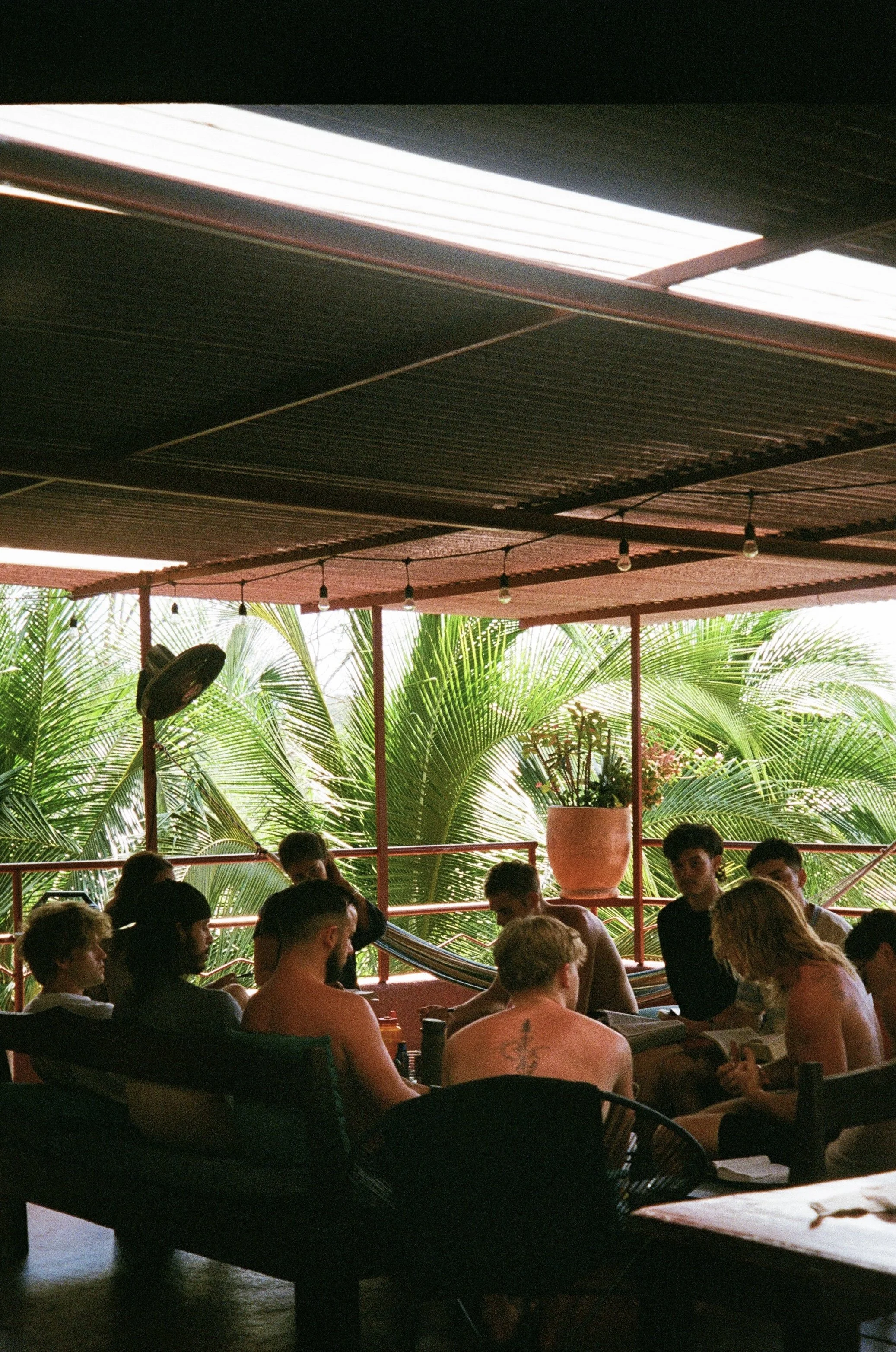 People sitting around tables in an outdoor patio with green tropical plants and string lights, under a roof with skylights.
