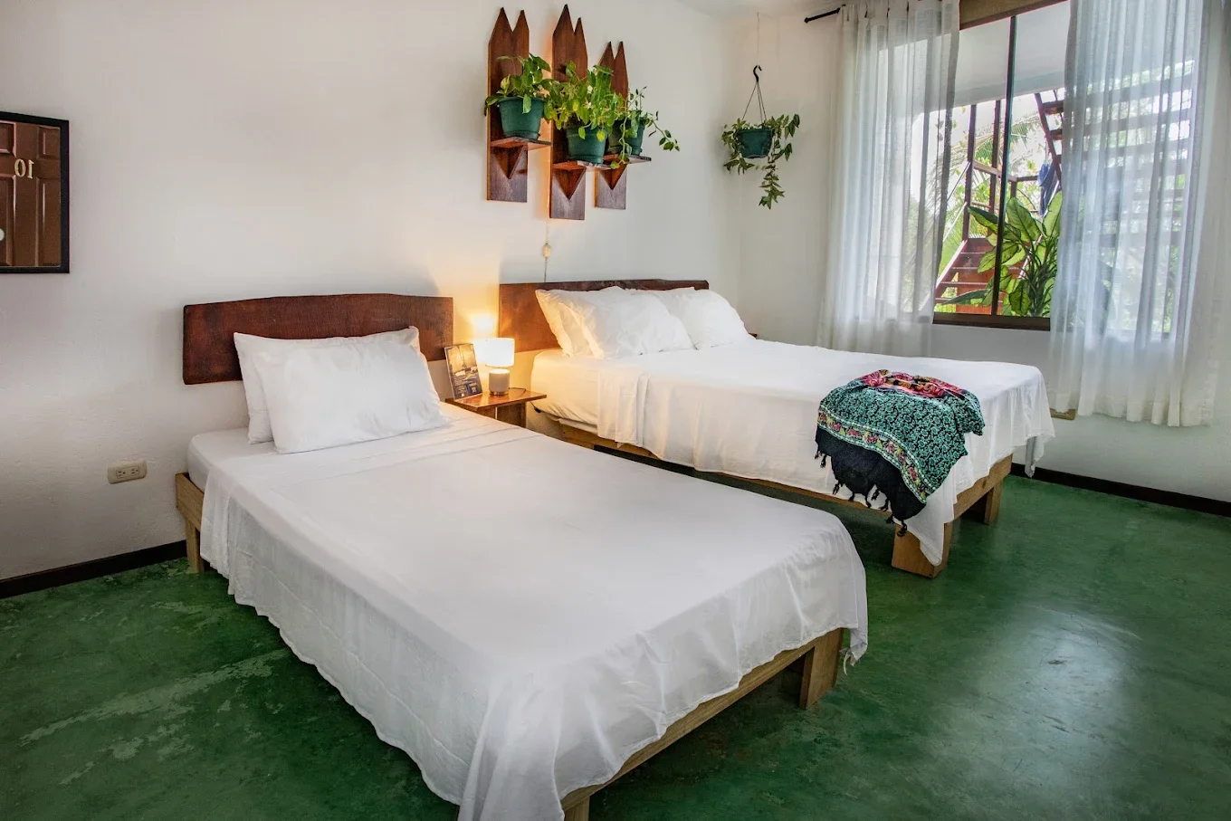 A bedroom with two beds, one single and one double, with white bedding and wooden headboards. There are hanging potted plants on the wall, a small bedside table with a lamp, a window with white curtains, and green flooring.
